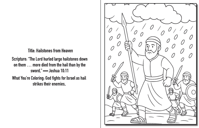 Sample Page 3