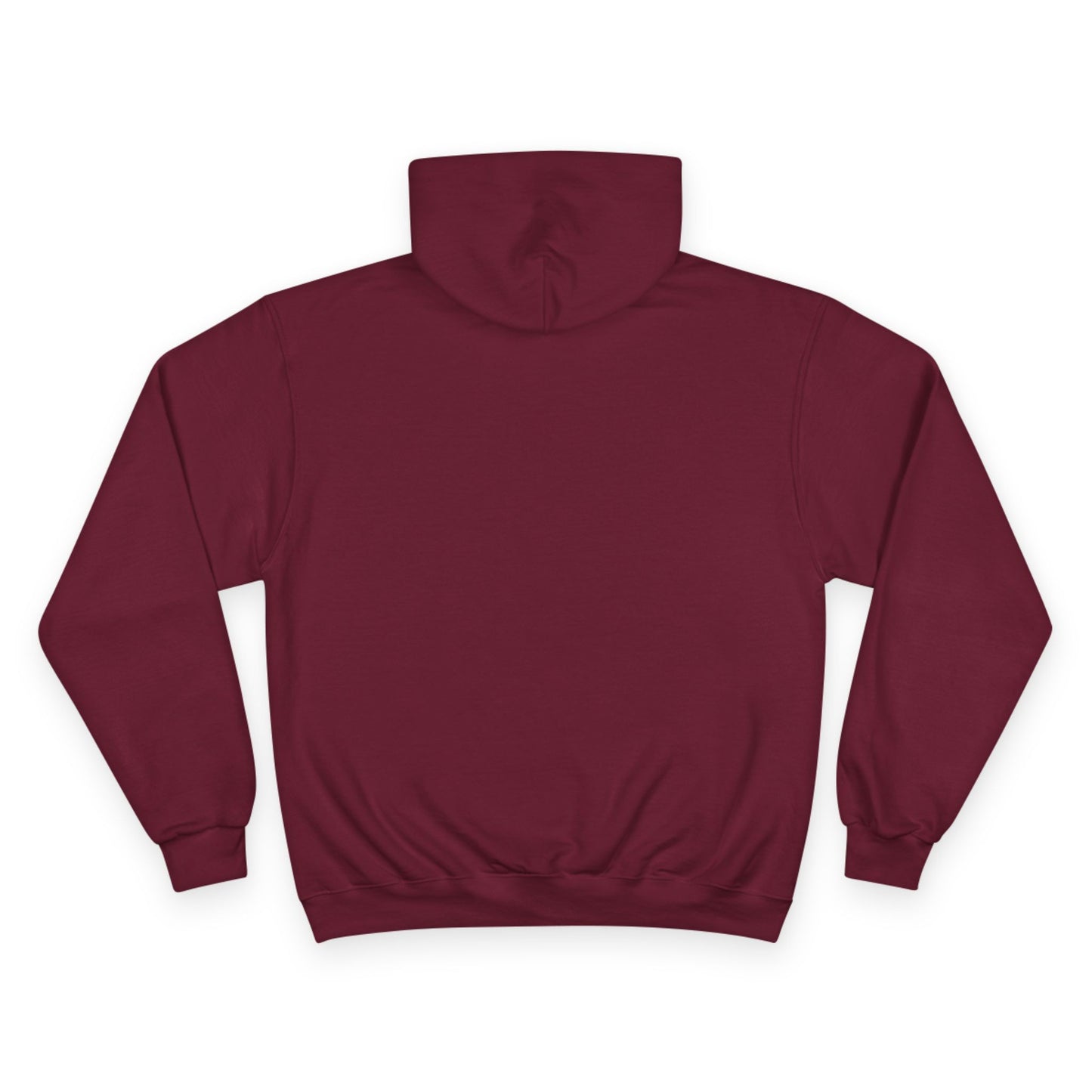 "The Lord Is My Strength and My Shield Psalm 28:7" Inspirational Champion Hoodie - The Shield of Light