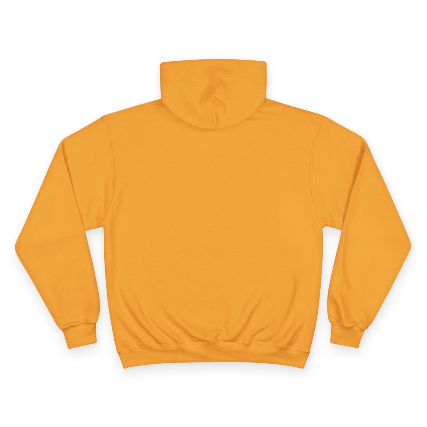 "As Iron Sharpeneth Iron So One Person Sharpens Another" Inspirational Champion Hoodie - The Shield of Light