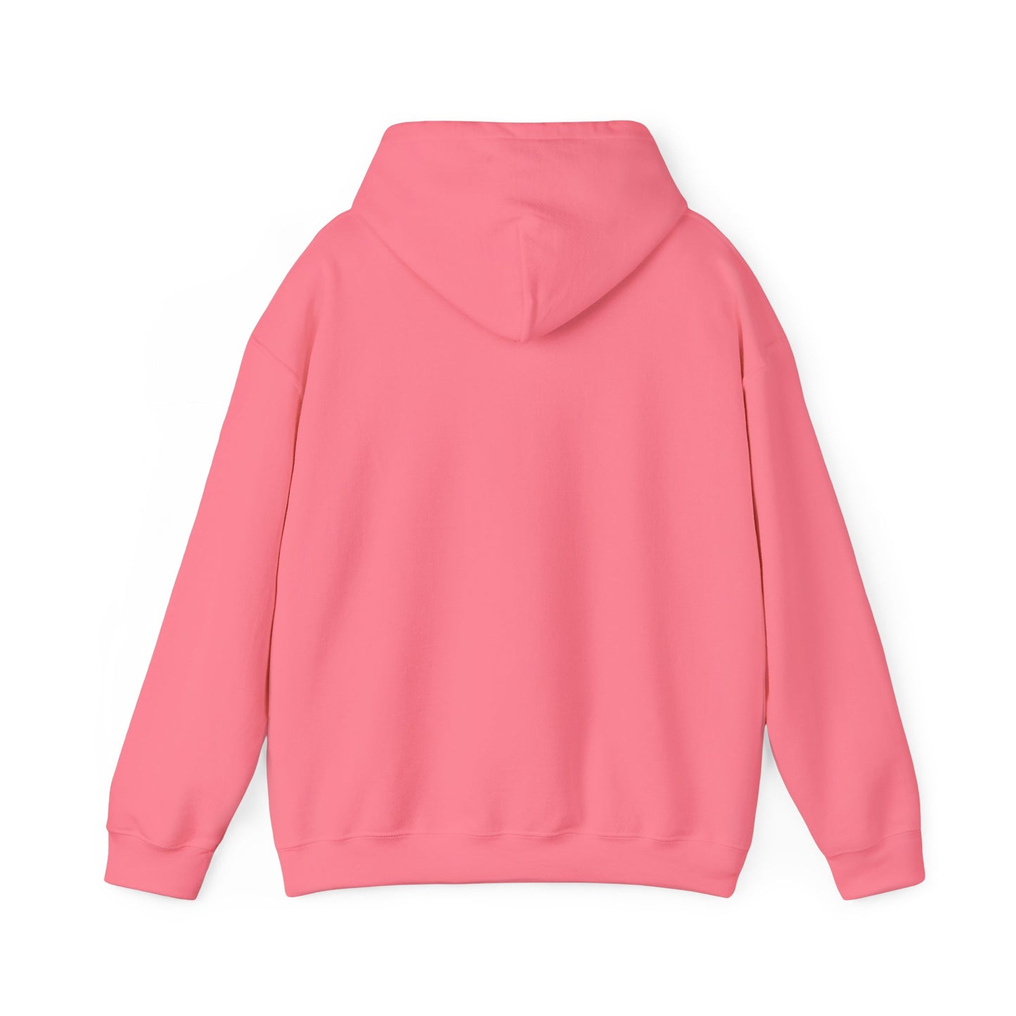 "Fortified In Faith " Unisex Heavy Blend™ Hoodies - The Shield of Light