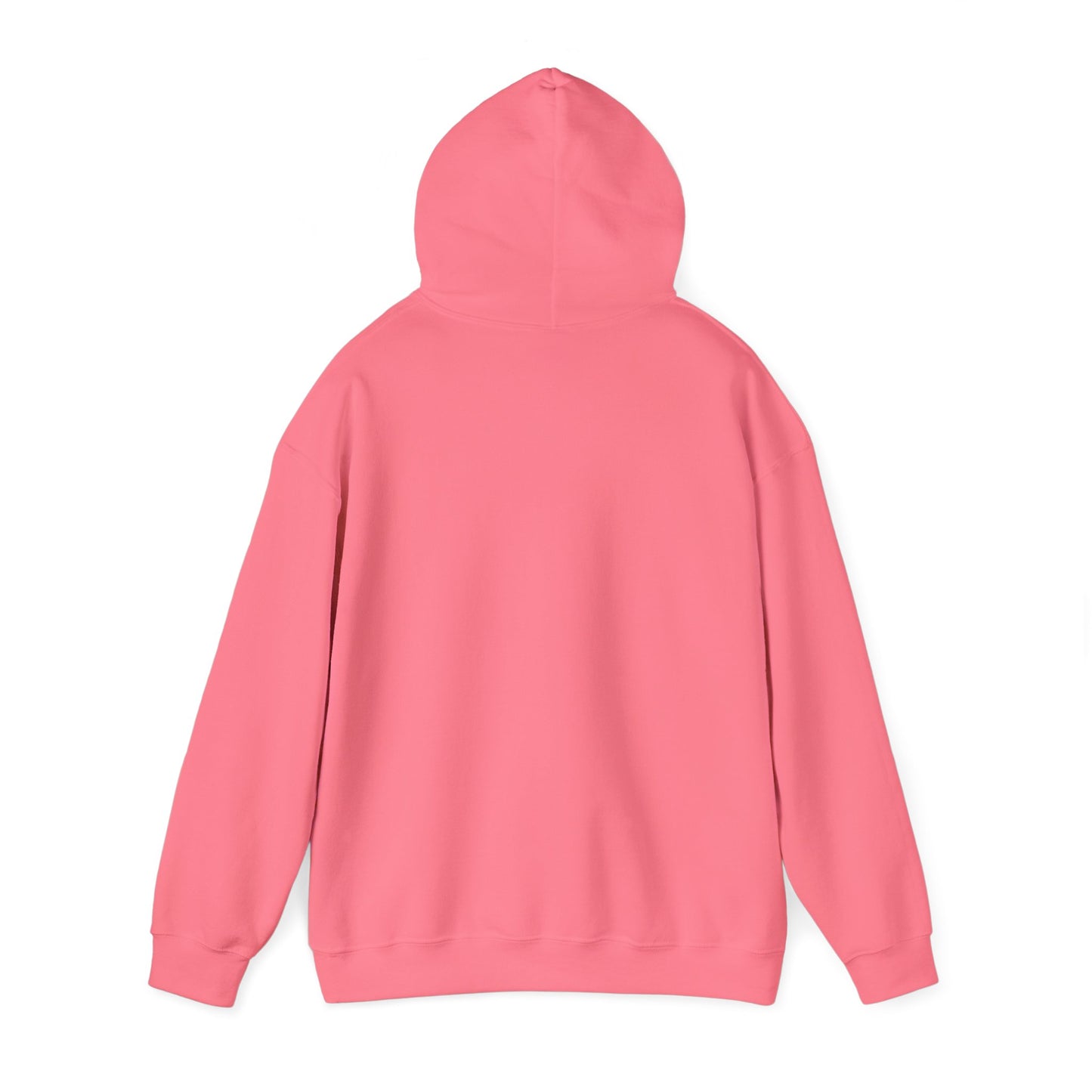 "Fortified In Faith " Unisex Heavy Blend™ Hoodies - The Shield of Light