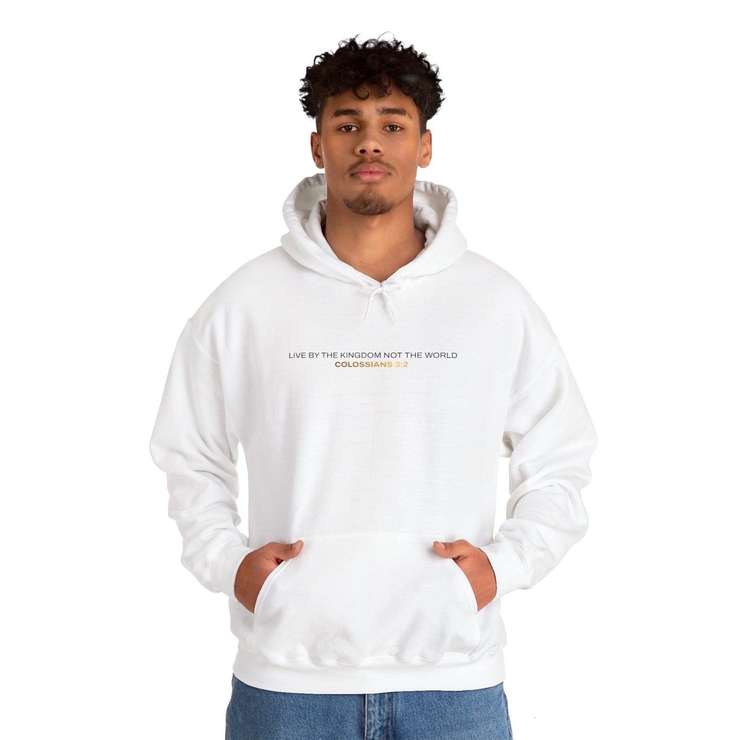 "Live By the Kingdom Not the World Colossians 3:2" Unisex Heavy Blend™ Hoodies - The Shield of Light