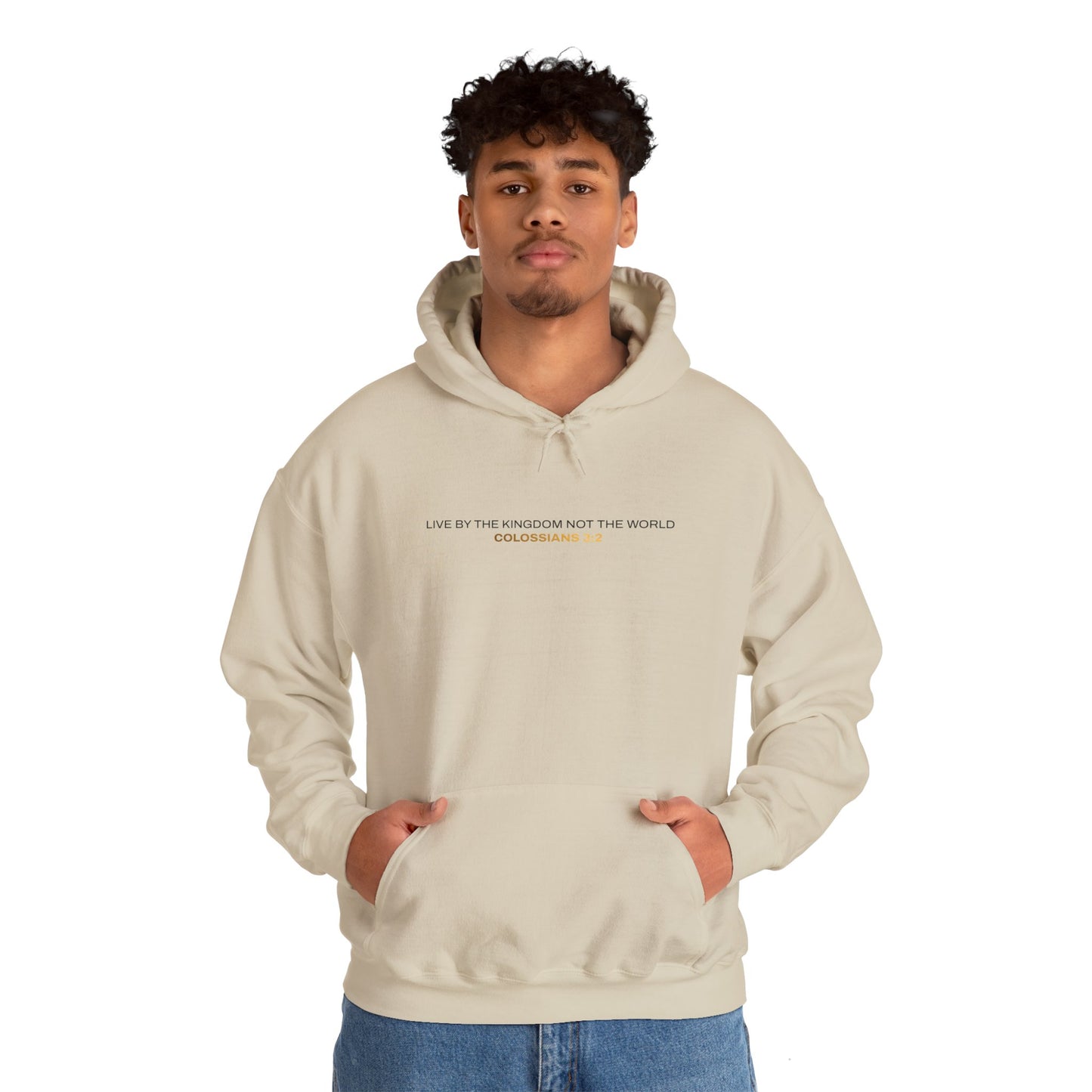 "Live By the Kingdom Not the World Colossians 3:2" Unisex Heavy Blend™ Hoodies - The Shield of Light