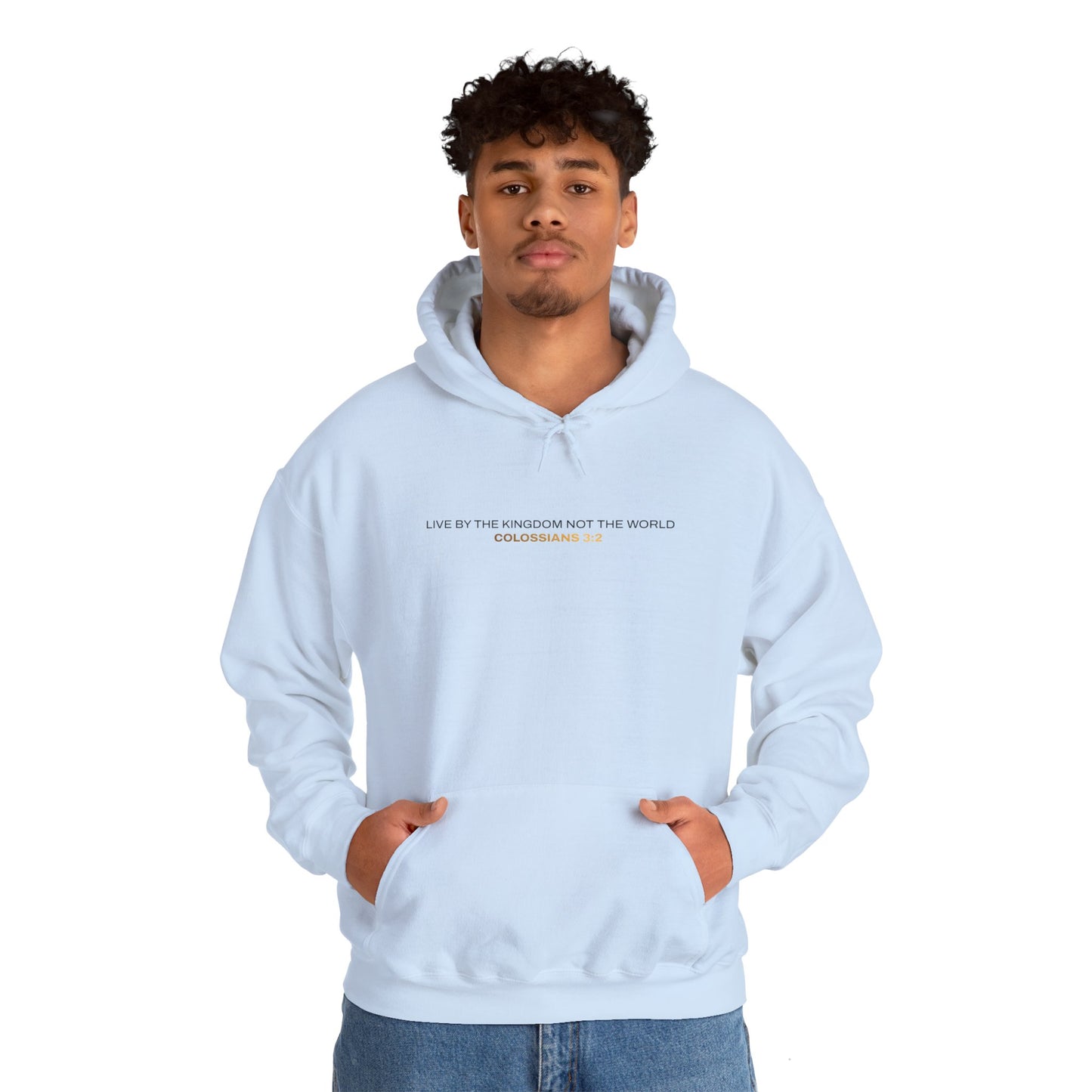 "Live By the Kingdom Not the World Colossians 3:2" Unisex Heavy Blend™ Hoodies - The Shield of Light