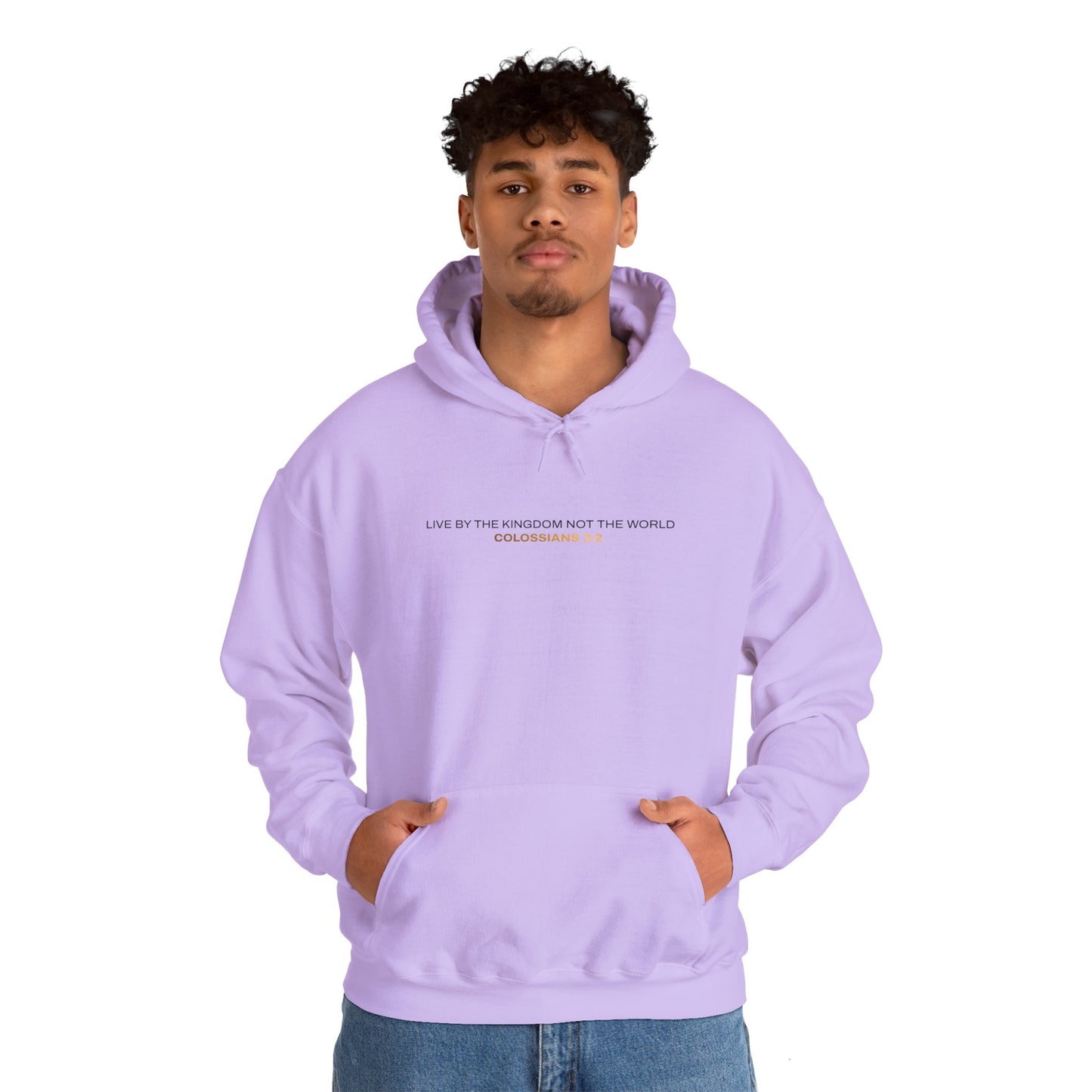 "Live By the Kingdom Not the World Colossians 3:2" Unisex Heavy Blend™ Hoodies - The Shield of Light