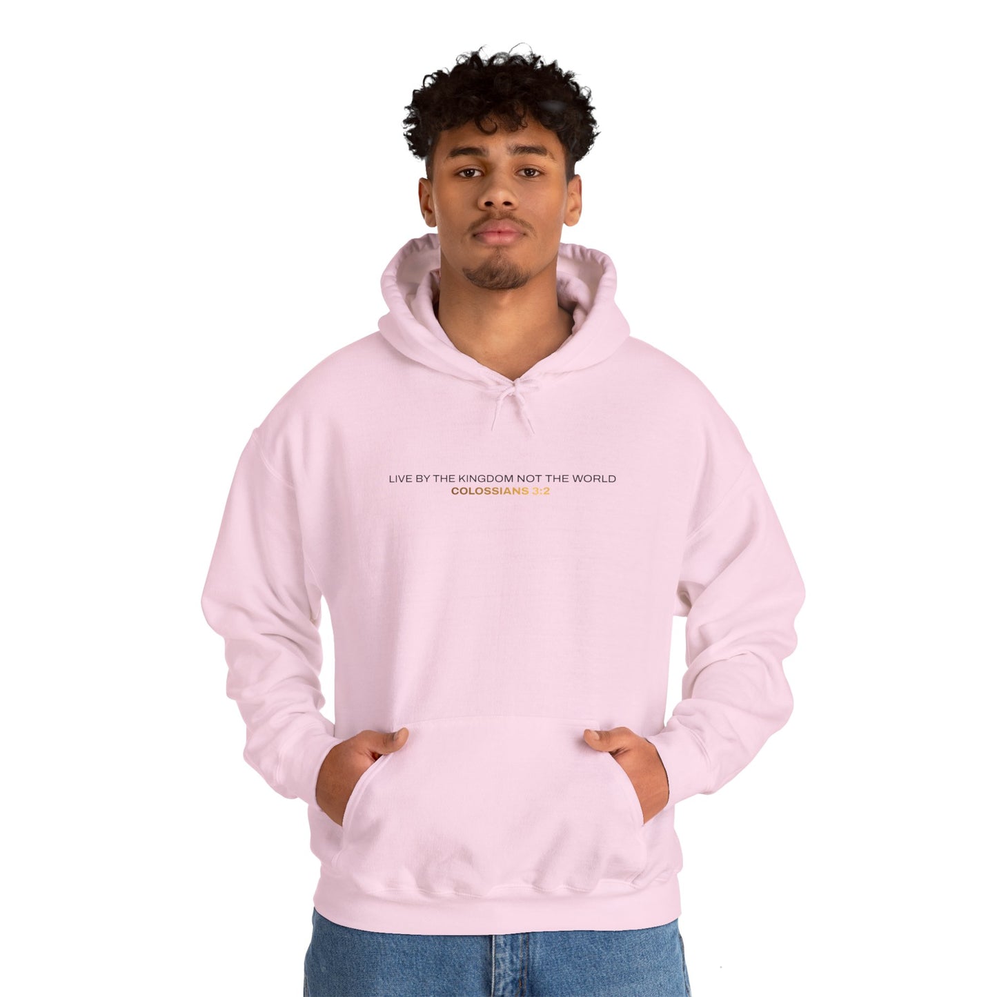 "Live By the Kingdom Not the World Colossians 3:2" Unisex Heavy Blend™ Hoodies - The Shield of Light