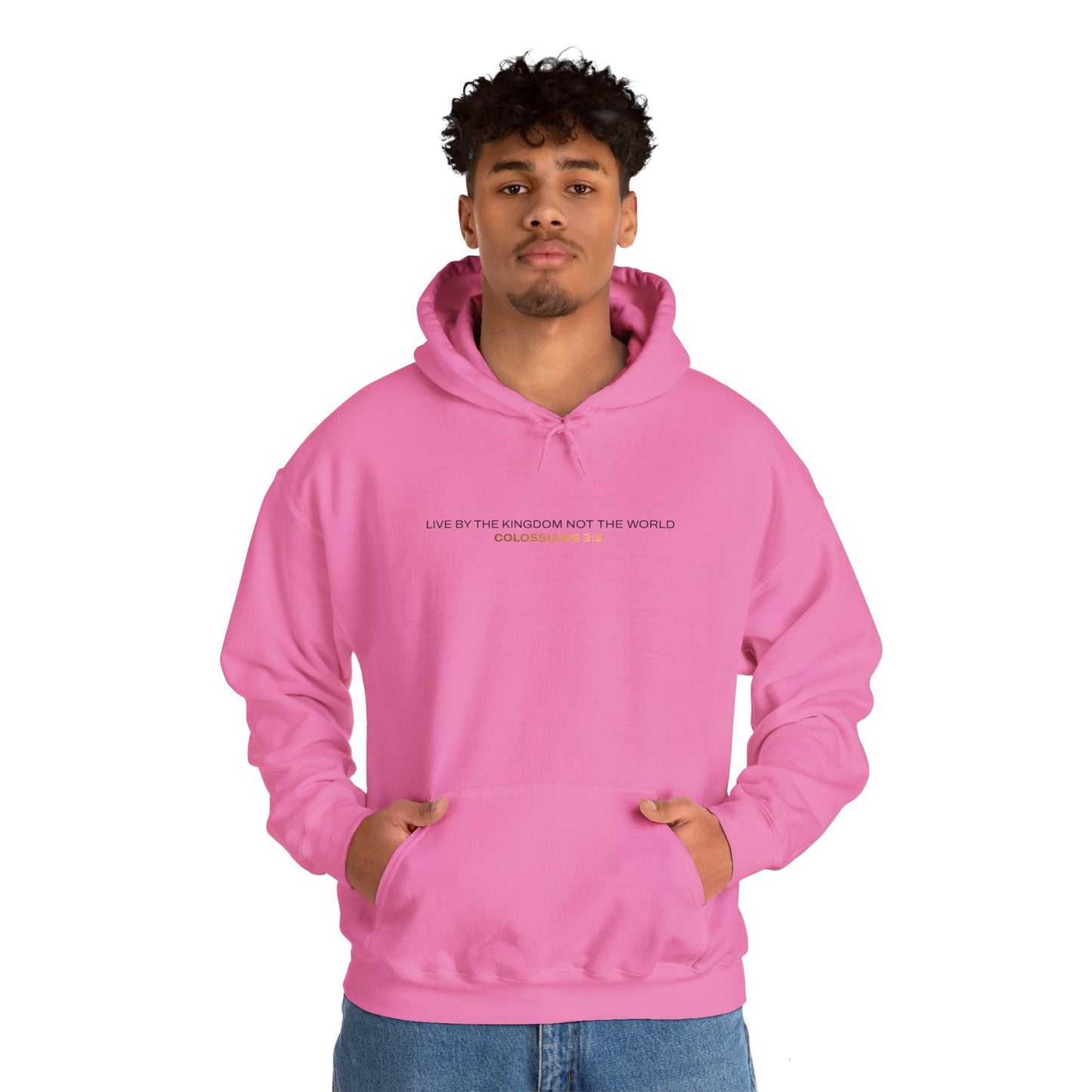 "Live By the Kingdom Not the World Colossians 3:2" Unisex Heavy Blend™ Hoodies - The Shield of Light