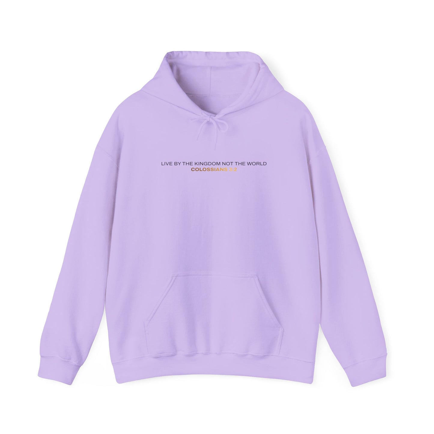"Live By the Kingdom Not the World Colossians 3:2" Unisex Heavy Blend™ Hoodies - The Shield of Light