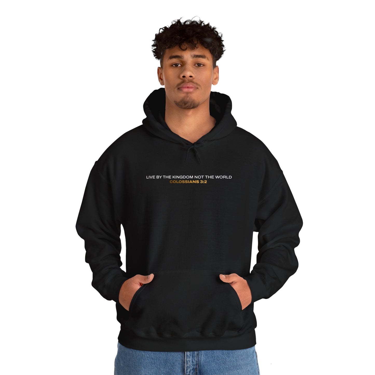 "Live By the Kingdom Not the World Colossians 3:2" Unisex Heavy Blend™ Hoodies - The Shield of Light