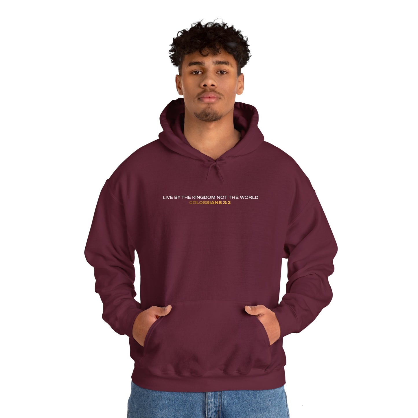 "Live By the Kingdom Not the World Colossians 3:2" Unisex Heavy Blend™ Hoodies - The Shield of Light