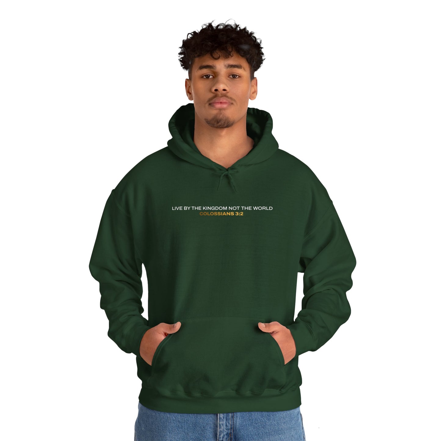 "Live By the Kingdom Not the World Colossians 3:2" Unisex Heavy Blend™ Hoodies - The Shield of Light