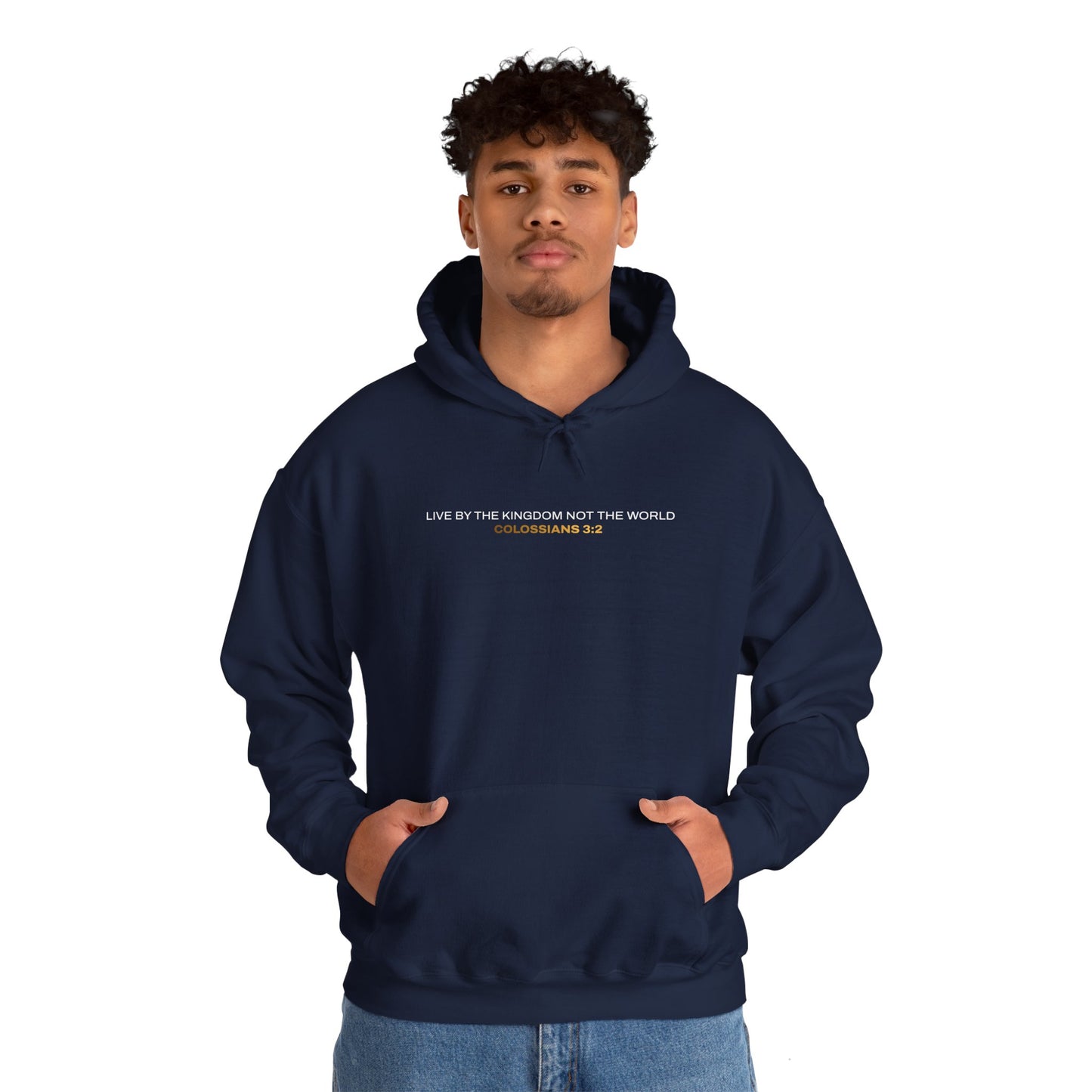 "Live By the Kingdom Not the World Colossians 3:2" Unisex Heavy Blend™ Hoodies - The Shield of Light