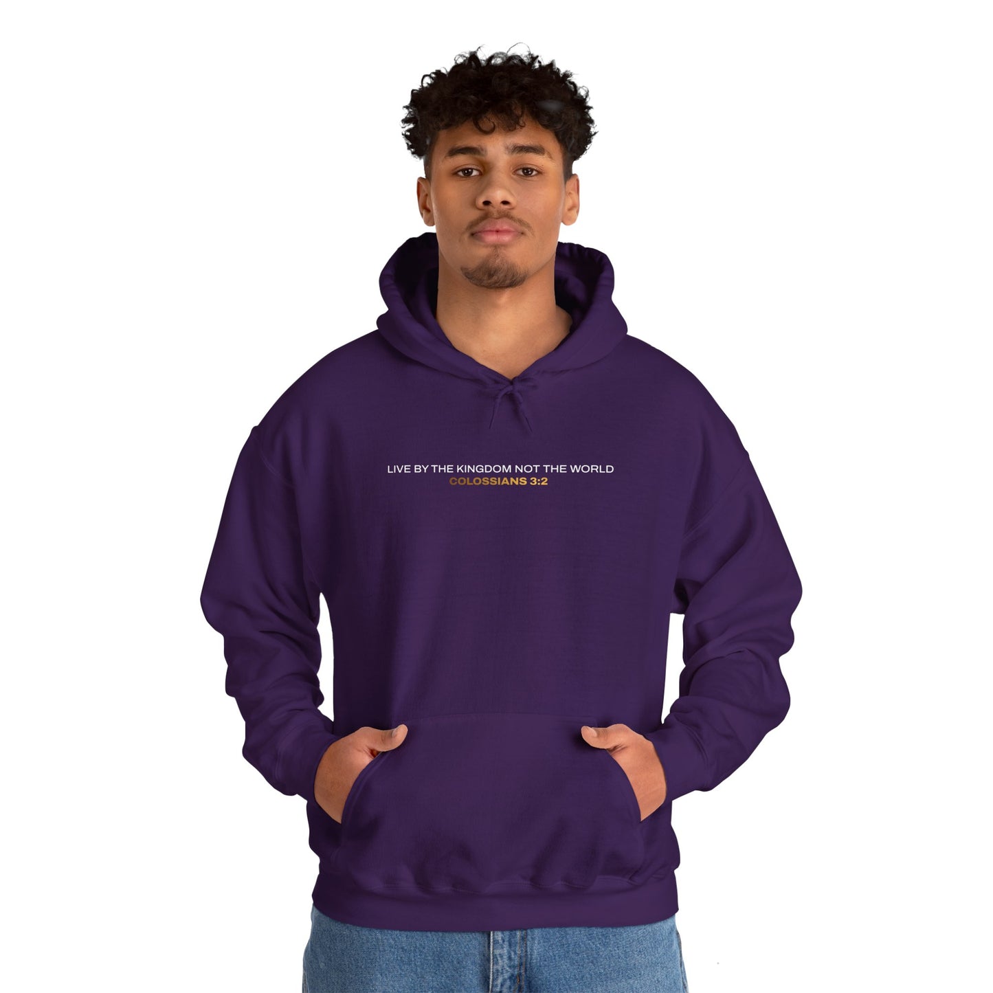 "Live By the Kingdom Not the World Colossians 3:2" Unisex Heavy Blend™ Hoodies - The Shield of Light