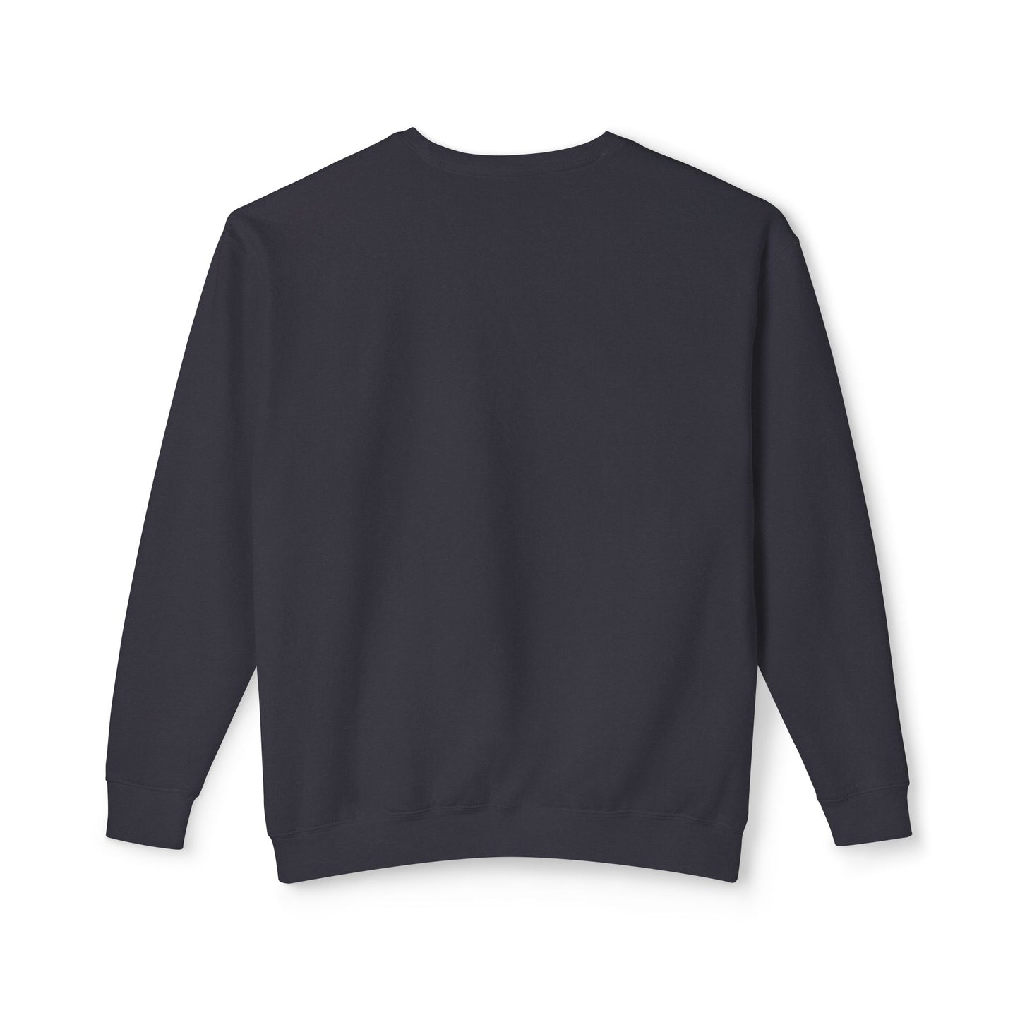 "Live By the Kingdom Not the World Colossians 3:2" Unisex Lightweight Crewneck Sweatshirt - The Shield of Light