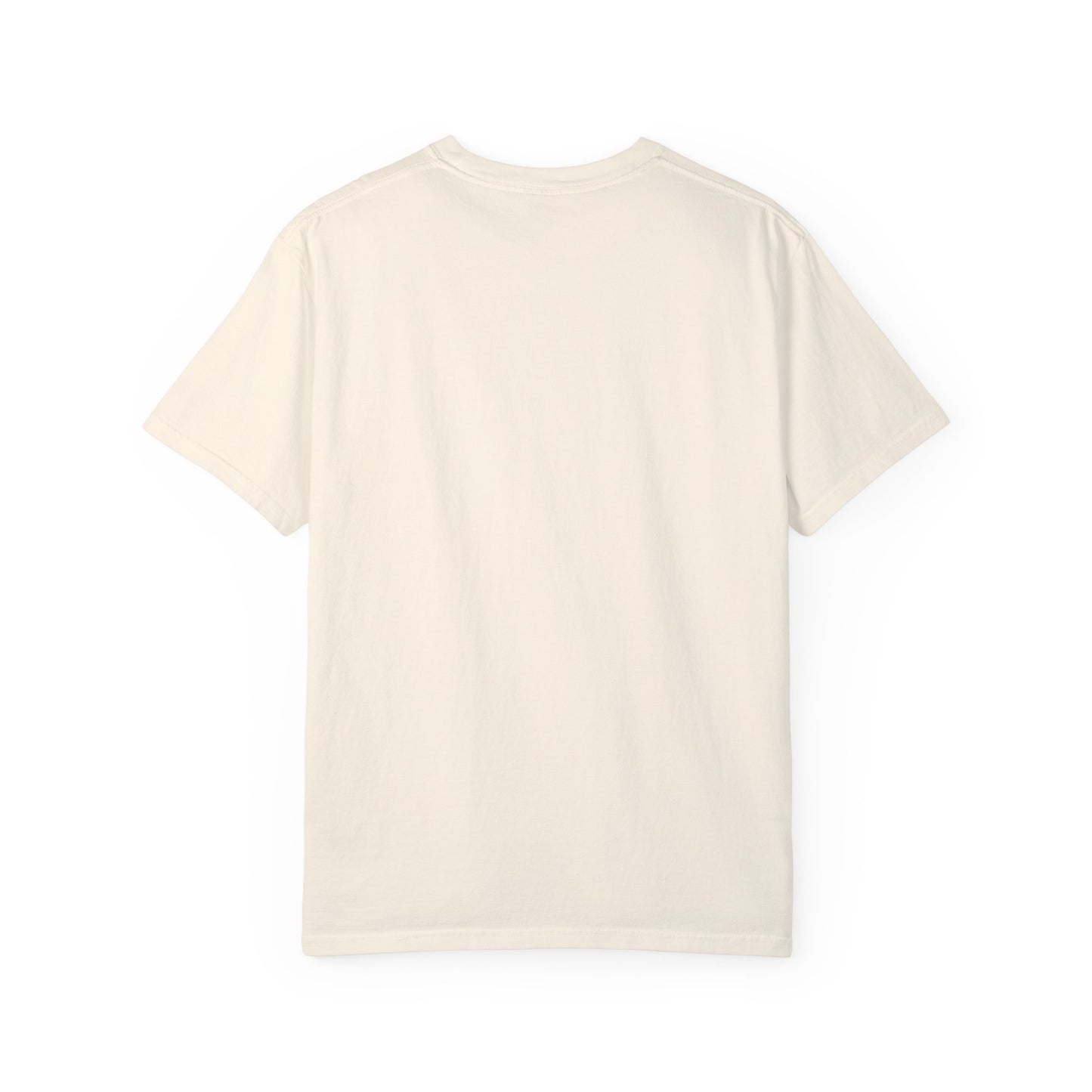 Run The Race Unisex Garment-Dyed T-Shirt - The Shield of Light
