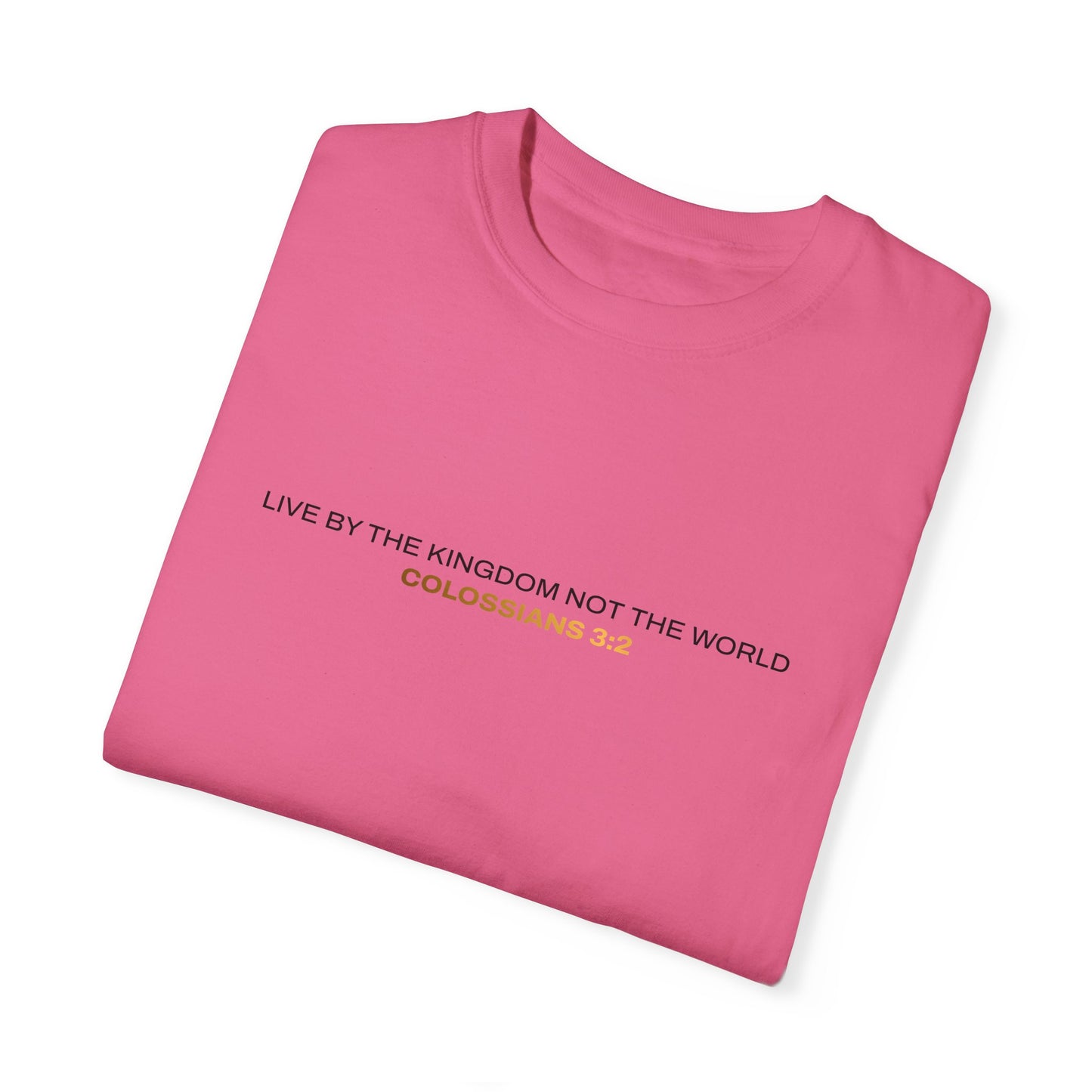 "Live By the Kingdom Not the World Colossians 3:2" Unisex Garment-Dyed T-Shirt - The Shield of Light