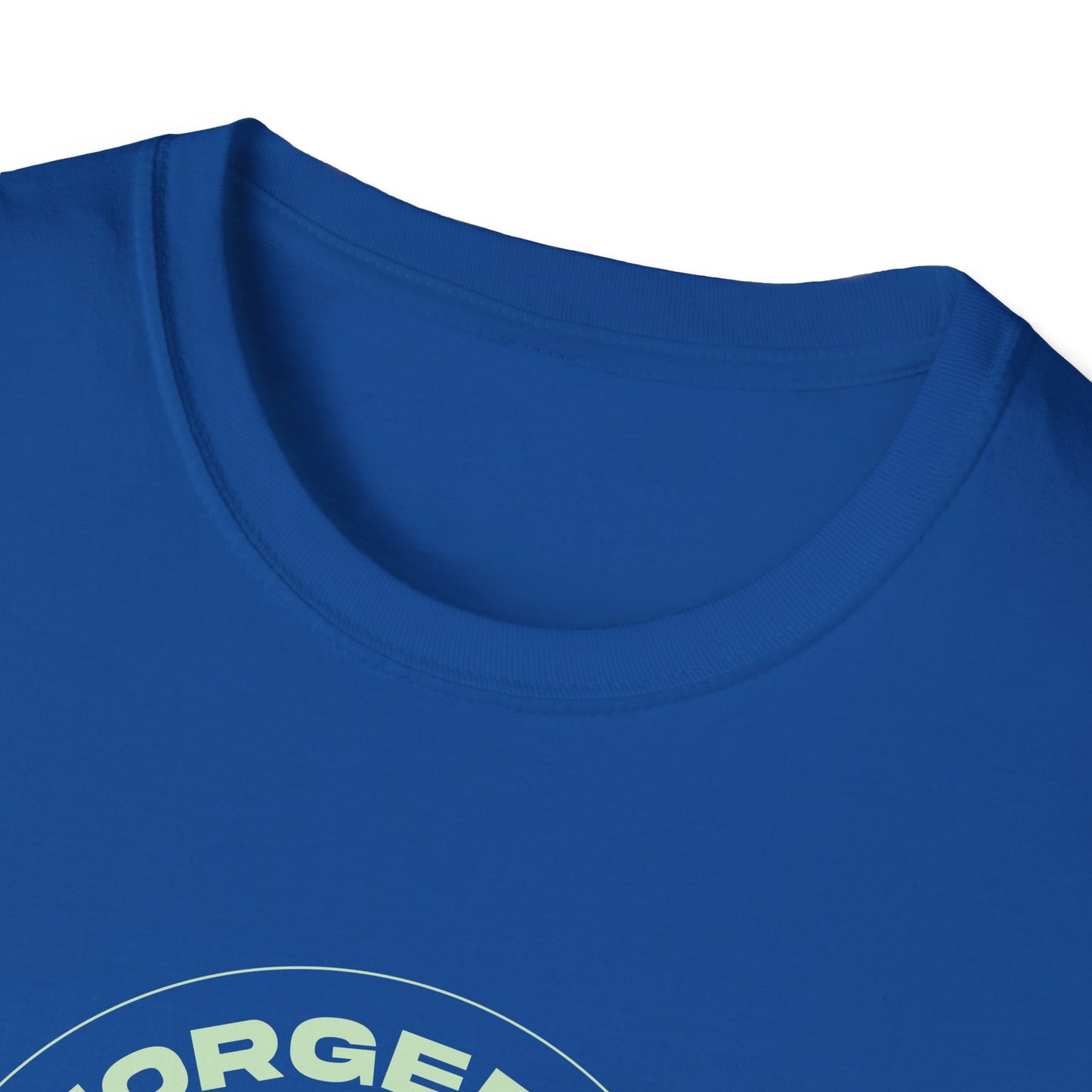 "Forged In Strength" Unisex Softstyle T-Shirt - The Shield of Light