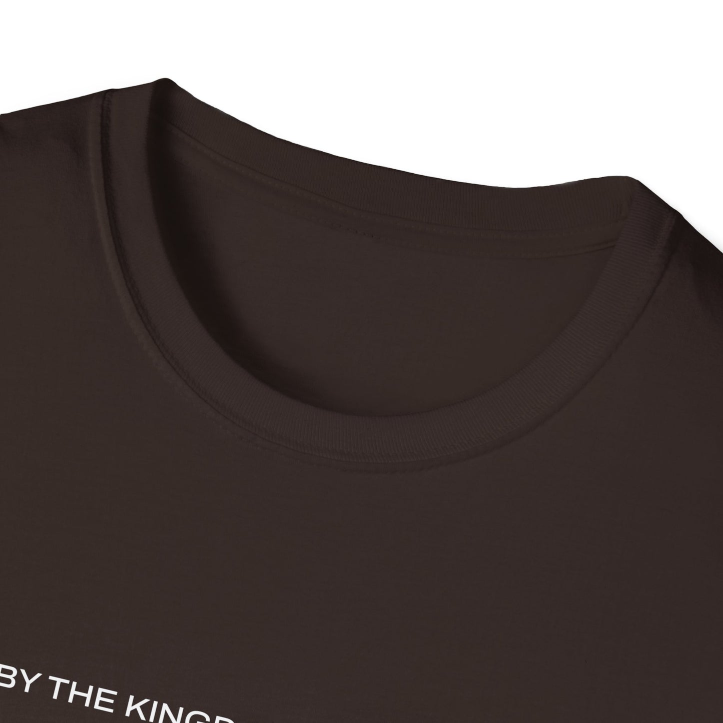 "Live By the Kingdom Not the World Colossians 3:2" Unisex Softstyle T-Shirt - The Shield of Light