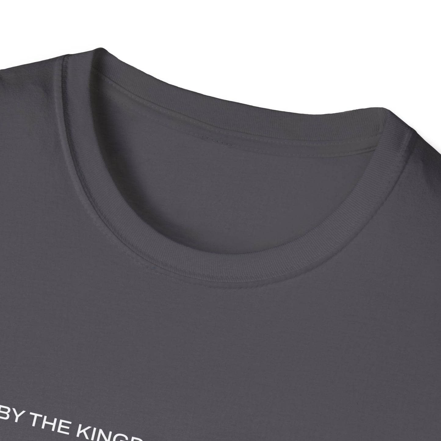 "Live By the Kingdom Not the World Colossians 3:2" Unisex Softstyle T-Shirt - The Shield of Light
