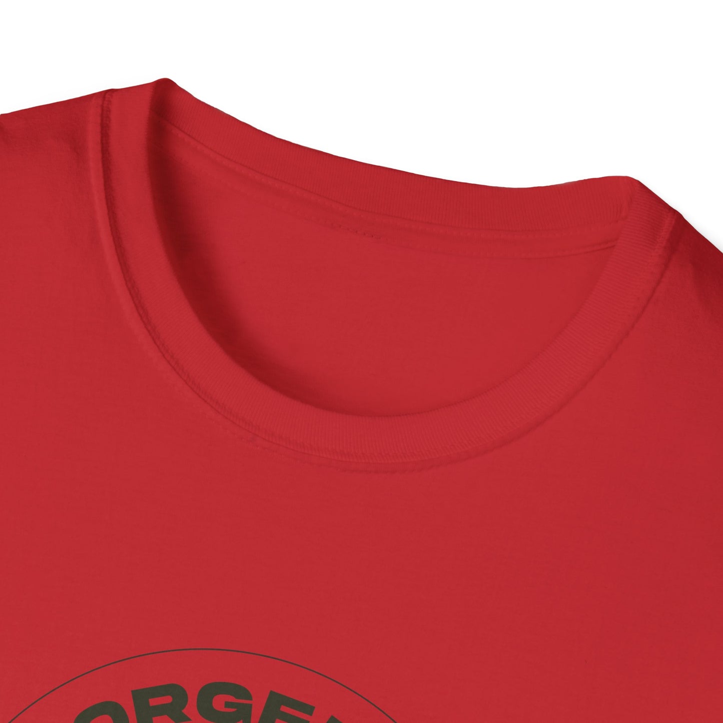 "Forged In Strength" Unisex Softstyle T-Shirt - The Shield of Light