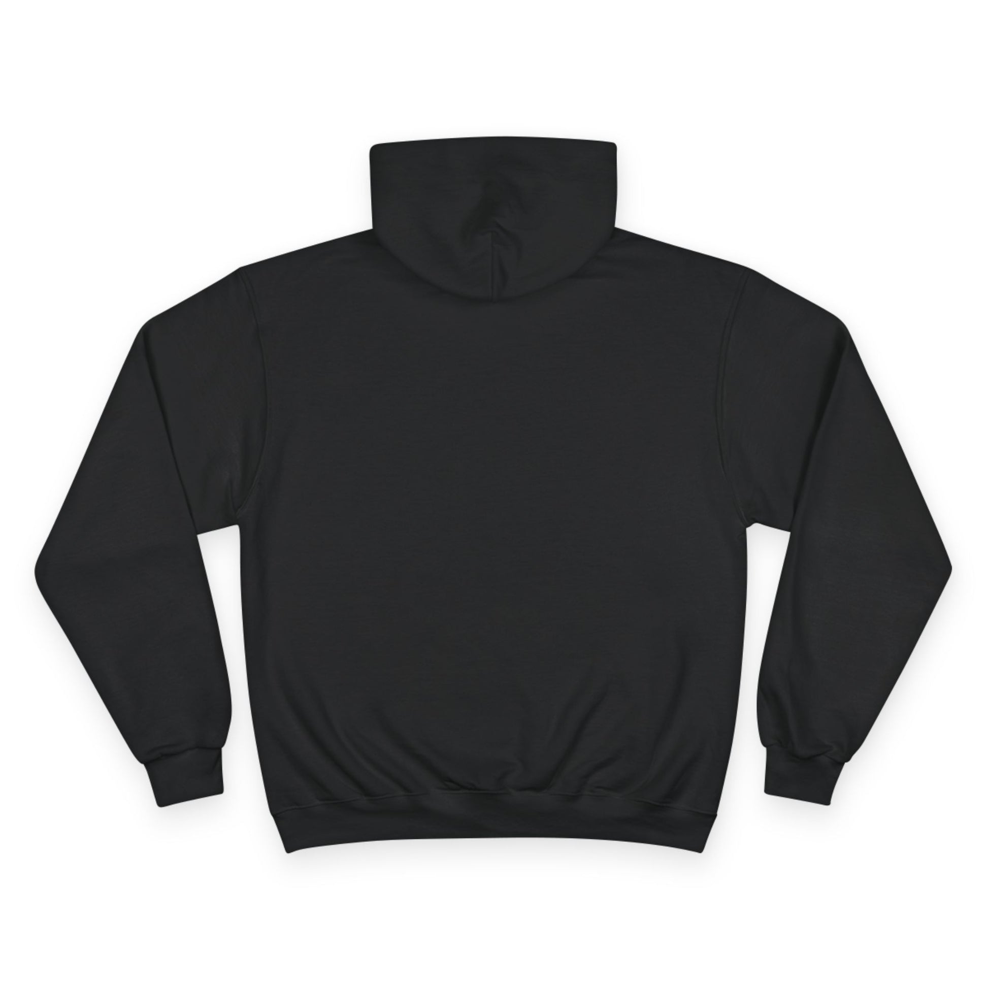 "Live By the Kingdom Not the World Colossians 3:2" Inspirational Champion Hoodie - The Shield of Light