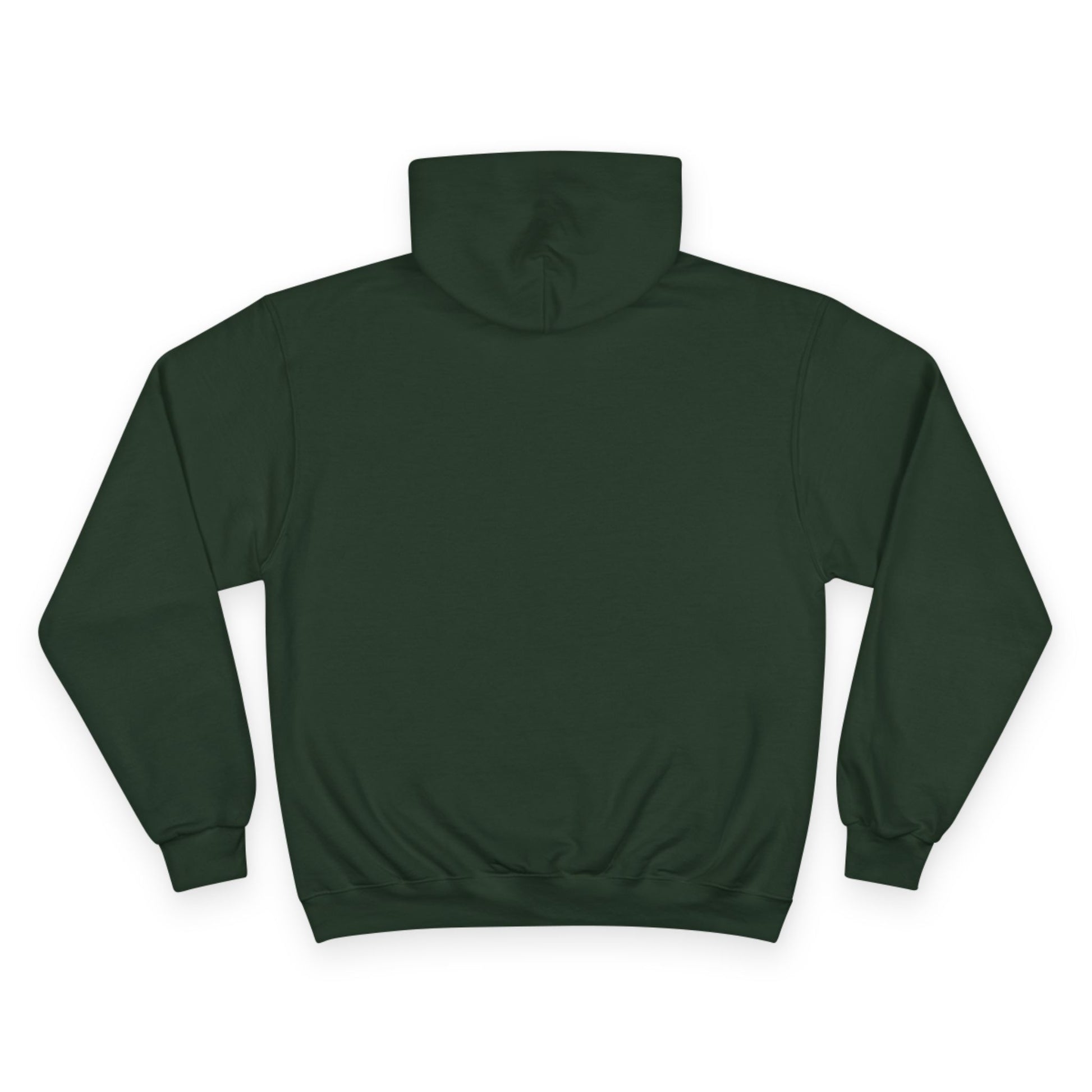 "Live By the Kingdom Not the World Colossians 3:2" Inspirational Champion Hoodie - The Shield of Light