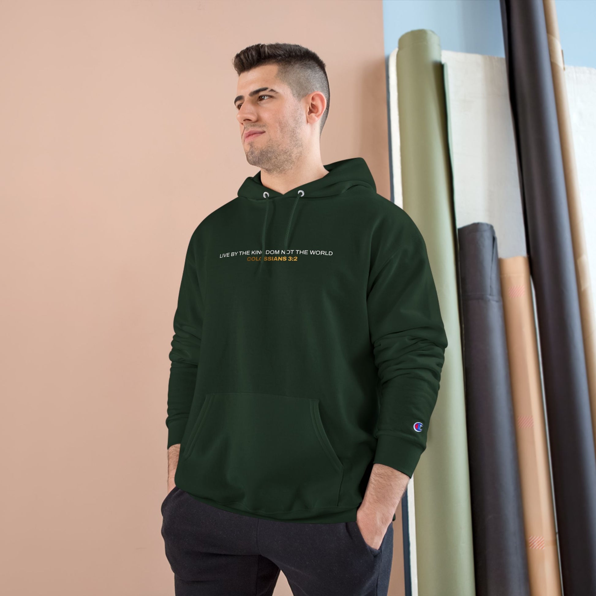 "Live By the Kingdom Not the World Colossians 3:2" Inspirational Champion Hoodie - The Shield of Light