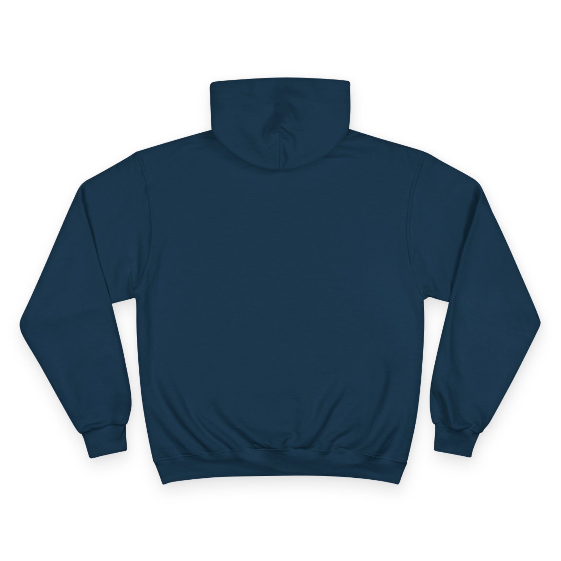 "Live By the Kingdom Not the World Colossians 3:2" Inspirational Champion Hoodie - The Shield of Light