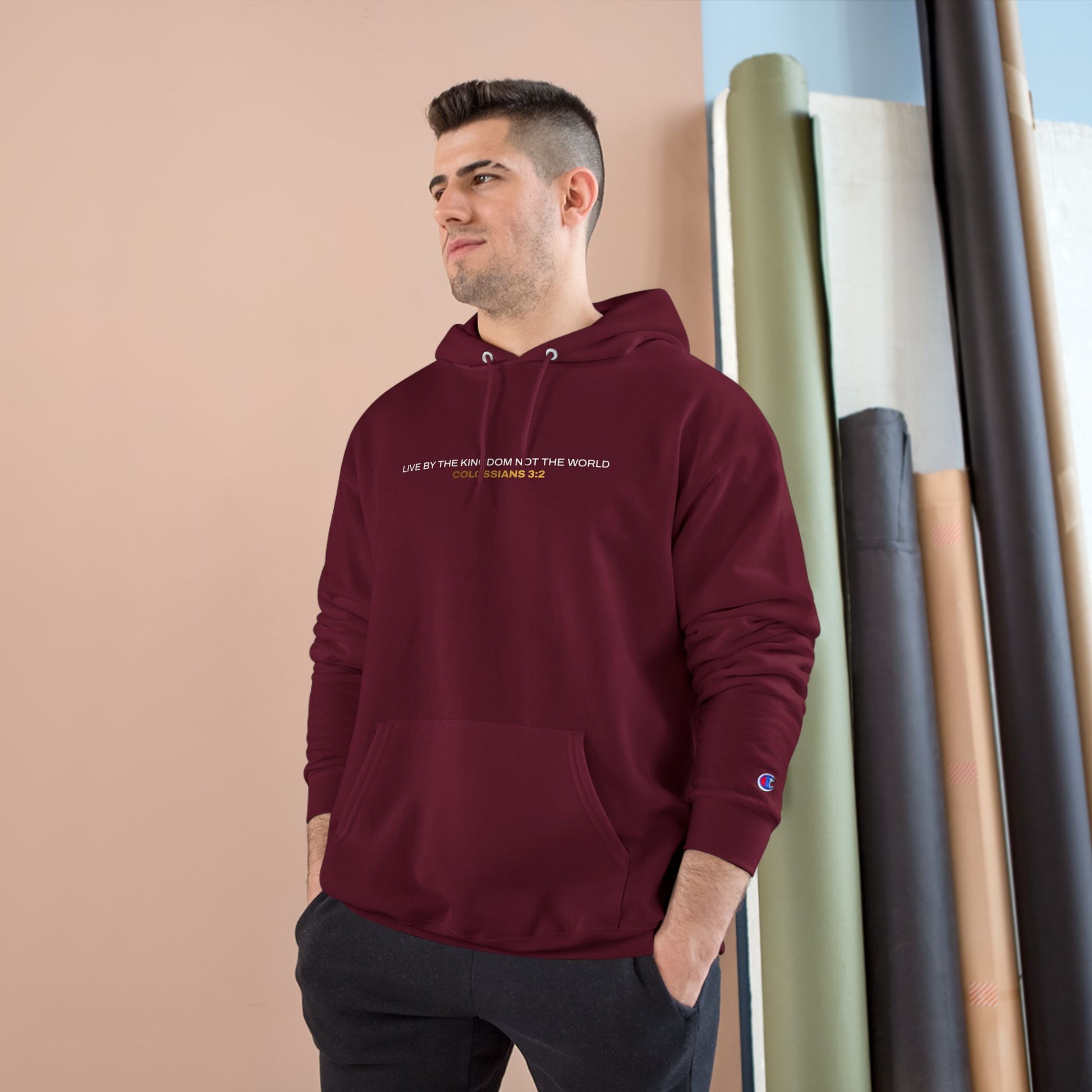 "Live By the Kingdom Not the World Colossians 3:2" Inspirational Champion Hoodie - The Shield of Light