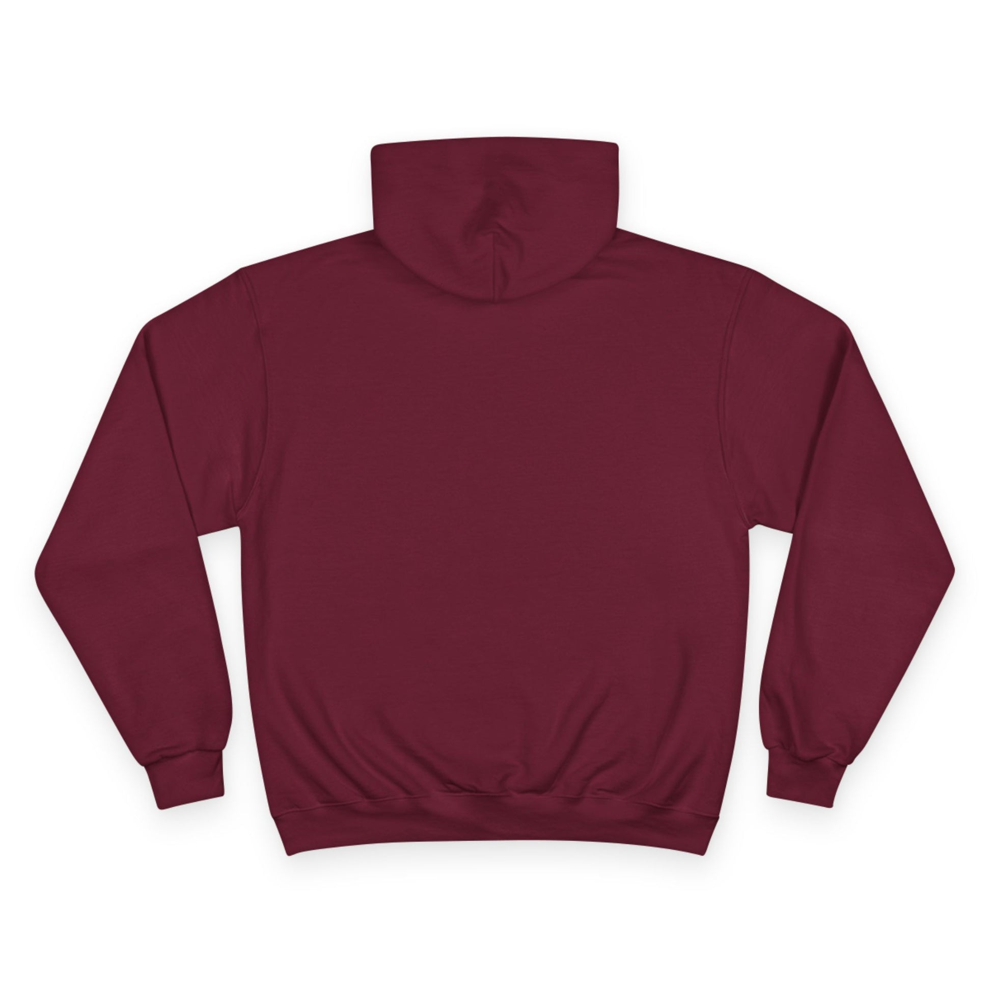 "The Lord Is My Strength and My Shield Psalm 28:7" Inspirational Champion Hoodie - The Shield of Light