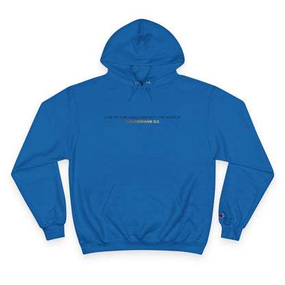 "Live By the Kingdom Not the World Colossians 3:2" Inspirational Champion Hoodie - The Shield of Light