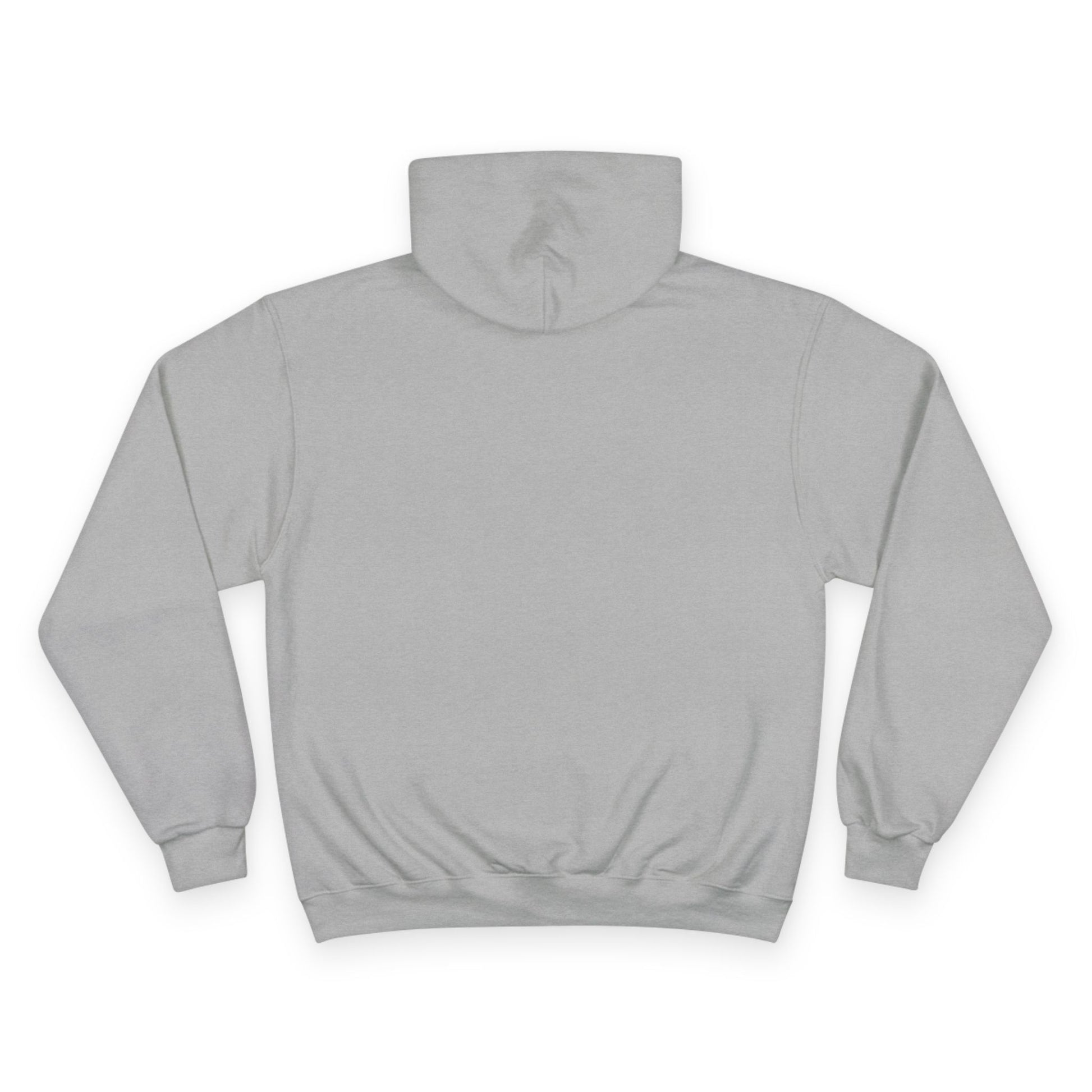 "Live By the Kingdom Not the World Colossians 3:2" Inspirational Champion Hoodie - The Shield of Light