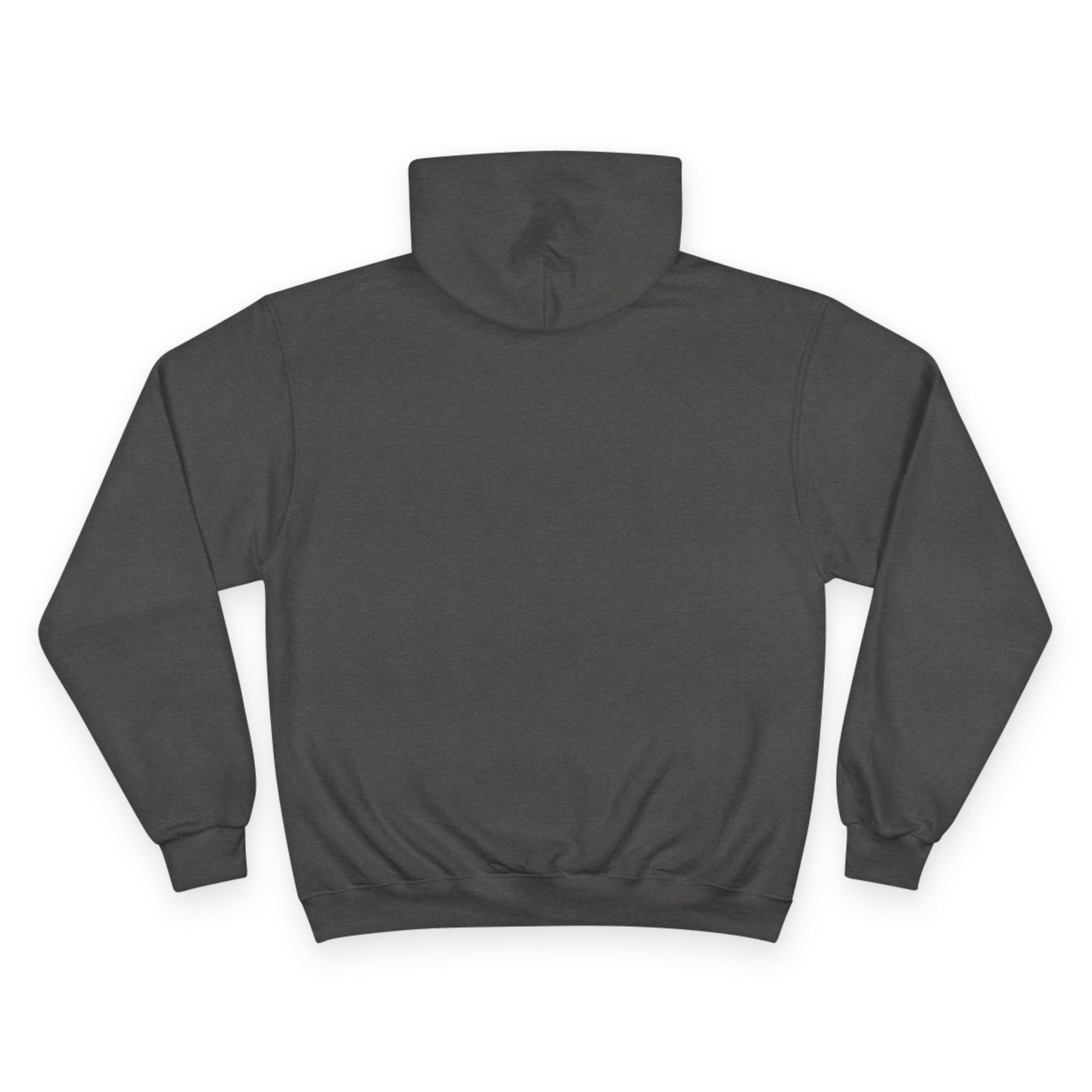 "Live By the Kingdom Not the World Colossians 3:2" Inspirational Champion Hoodie - The Shield of Light