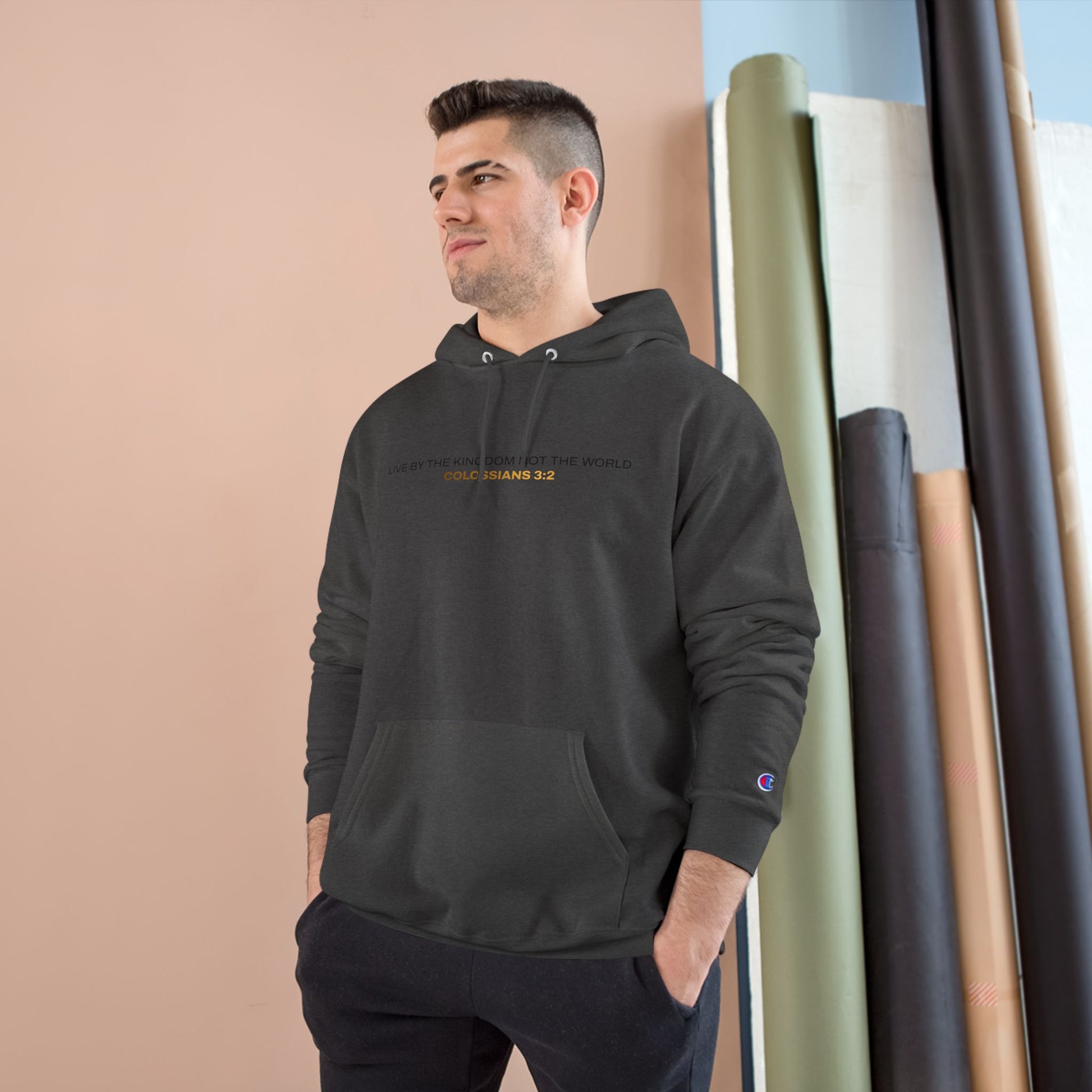 "Live By the Kingdom Not the World Colossians 3:2" Inspirational Champion Hoodie - The Shield of Light