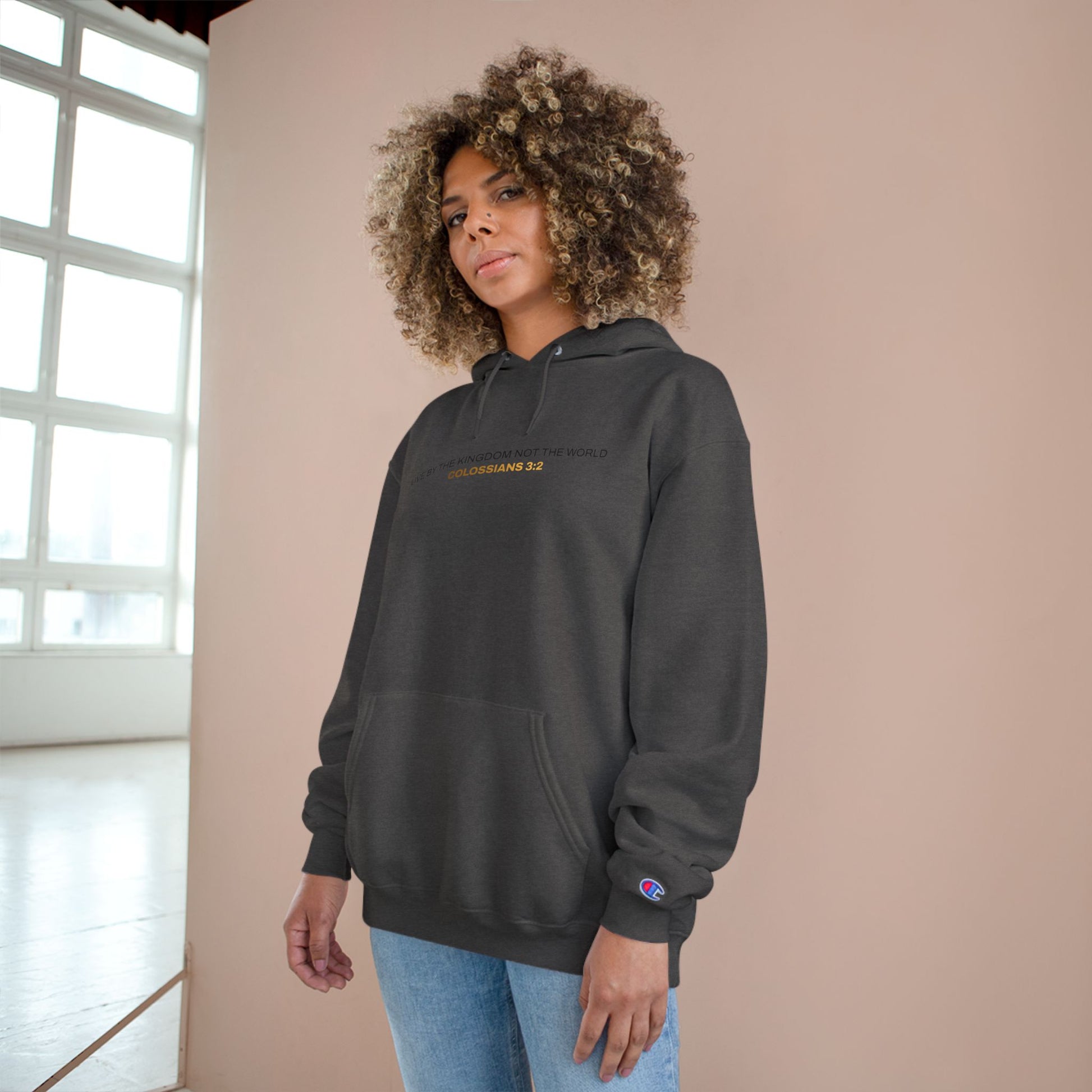 "Live By the Kingdom Not the World Colossians 3:2" Inspirational Champion Hoodie - The Shield of Light