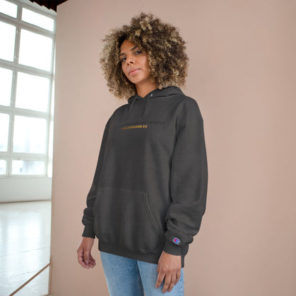 "Live By the Kingdom Not the World Colossians 3:2" Inspirational Champion Hoodie - The Shield of Light