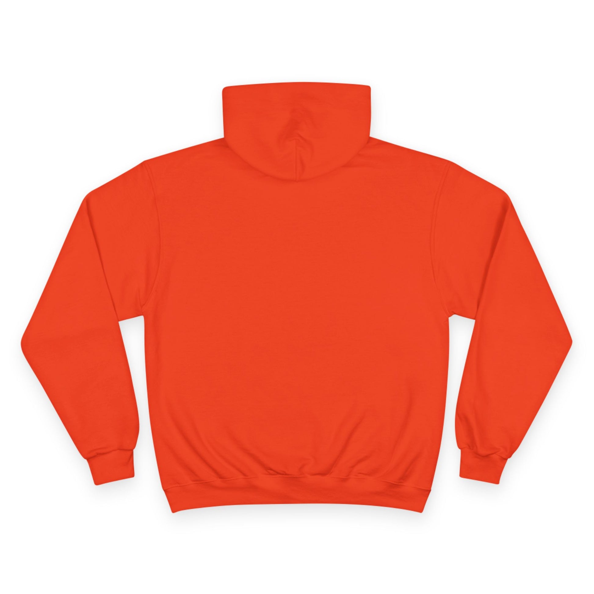 "As Iron Sharpeneth Iron So One Person Sharpens Another" Inspirational Champion Hoodie - The Shield of Light