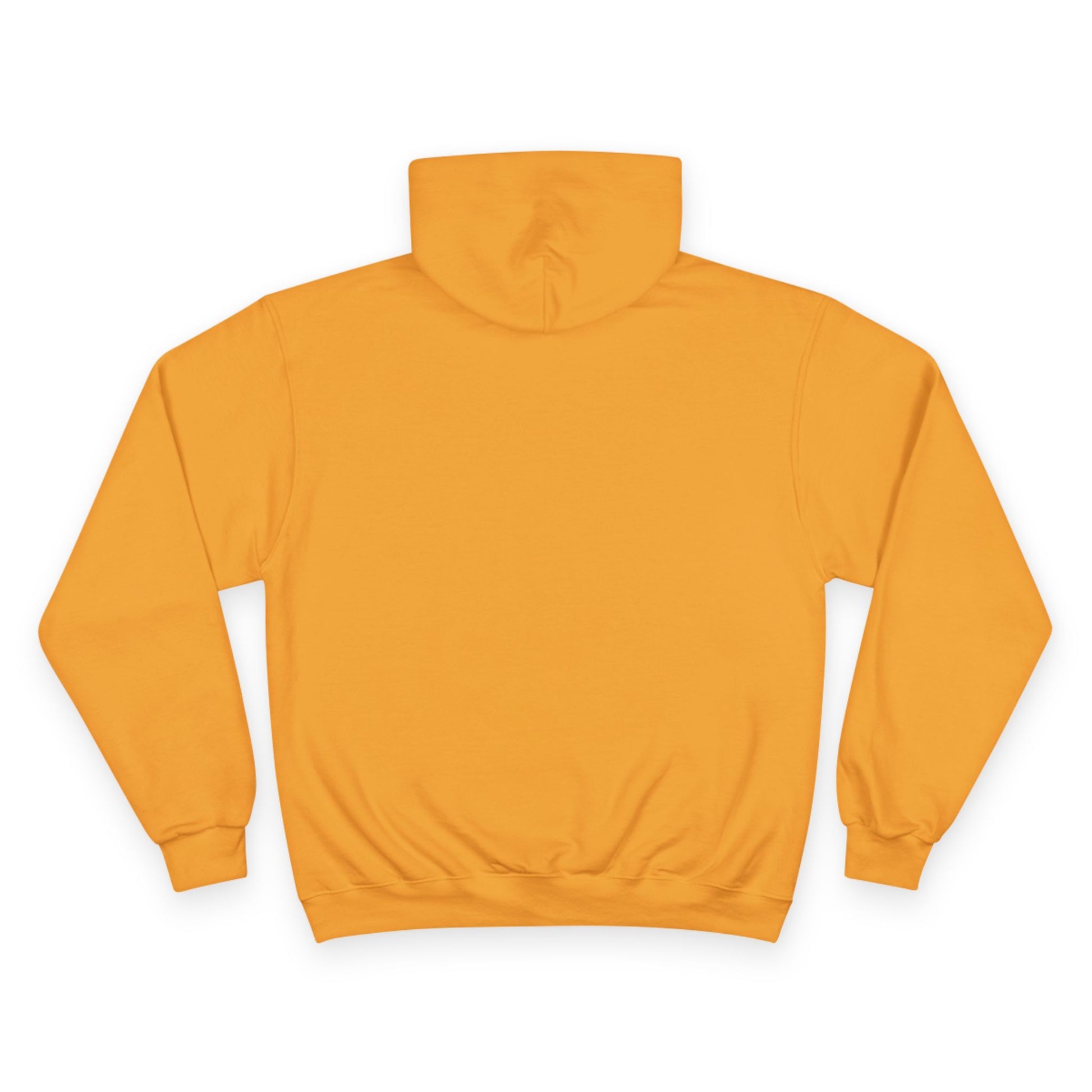 "As Iron Sharpeneth Iron So One Person Sharpens Another" Inspirational Champion Hoodie - The Shield of Light