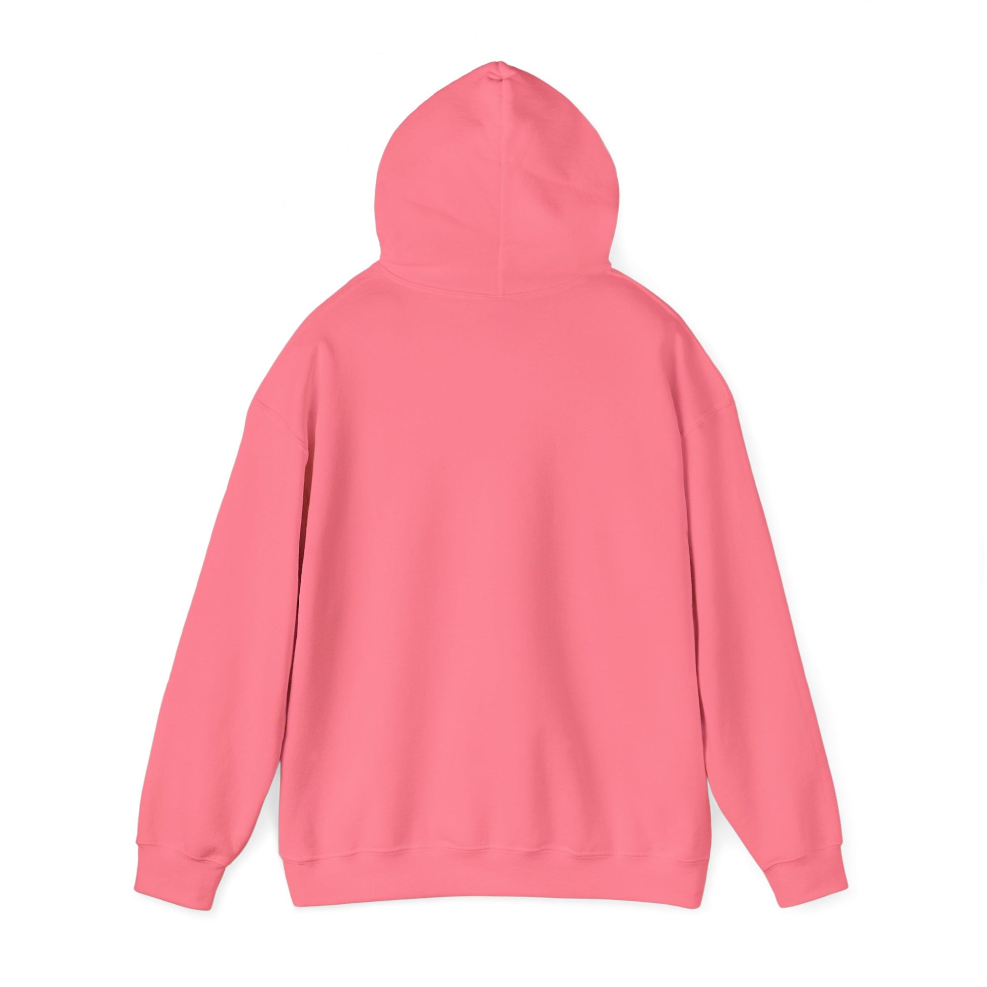 "Fortified In Faith " Unisex Heavy Blend™ Hoodies - The Shield of Light