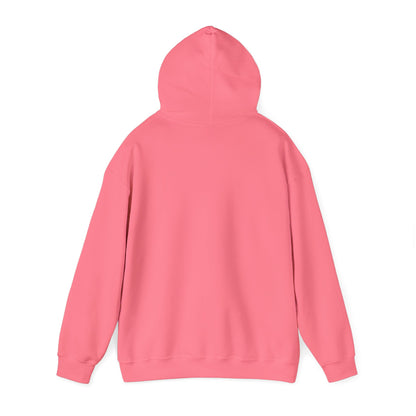 "Fortified In Faith " Unisex Heavy Blend™ Hoodies - The Shield of Light