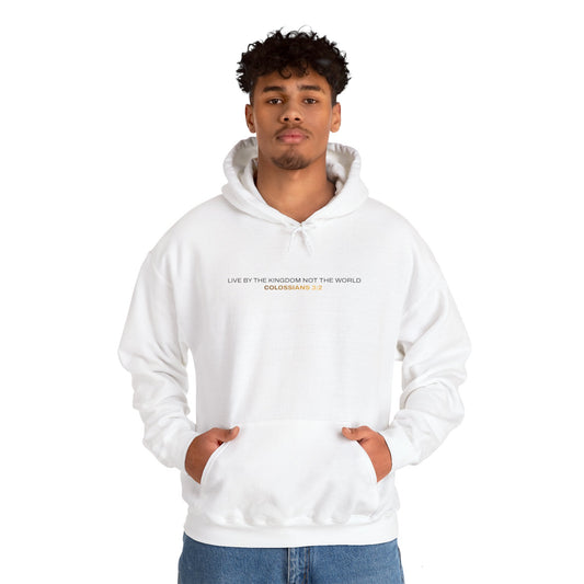 "Live By the Kingdom Not the World Colossians 3:2" Unisex Heavy Blend™ Hoodies - The Shield of Light