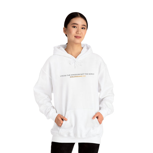 "Live By the Kingdom Not the World Colossians 3:2" Unisex Heavy Blend™ Hoodies - The Shield of Light