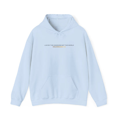 "Live By the Kingdom Not the World Colossians 3:2" Unisex Heavy Blend™ Hoodies - The Shield of Light