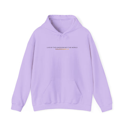"Live By the Kingdom Not the World Colossians 3:2" Unisex Heavy Blend™ Hoodies - The Shield of Light