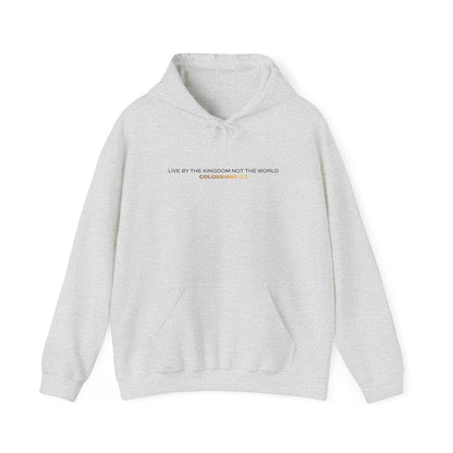 "Live By the Kingdom Not the World Colossians 3:2" Unisex Heavy Blend™ Hoodies - The Shield of Light