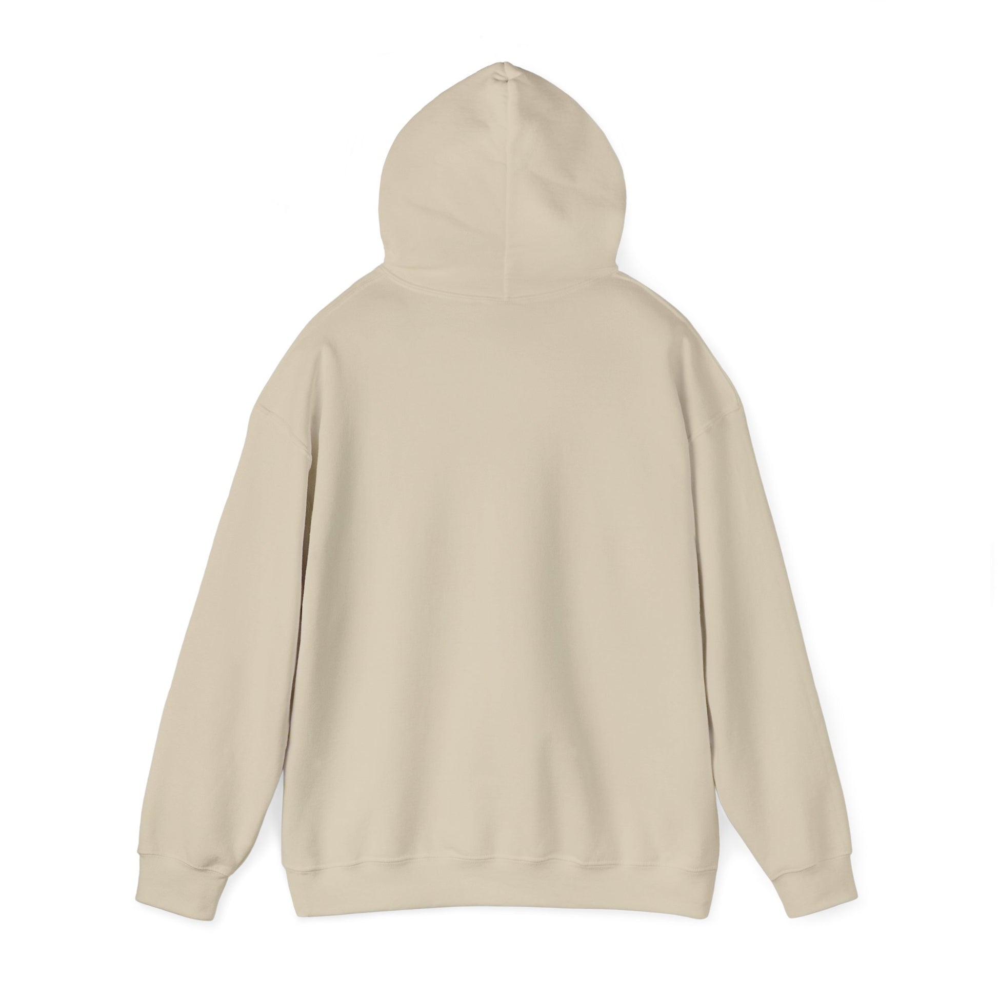 "Live By the Kingdom Not the World Colossians 3:2" Unisex Heavy Blend™ Hoodies - The Shield of Light