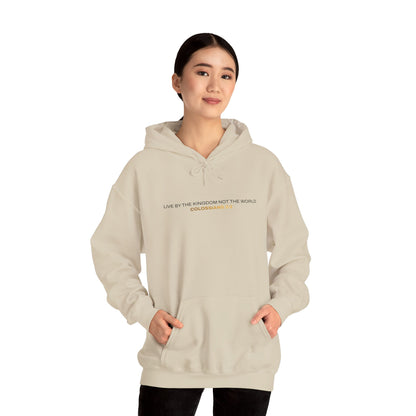 "Live By the Kingdom Not the World Colossians 3:2" Unisex Heavy Blend™ Hoodies - The Shield of Light
