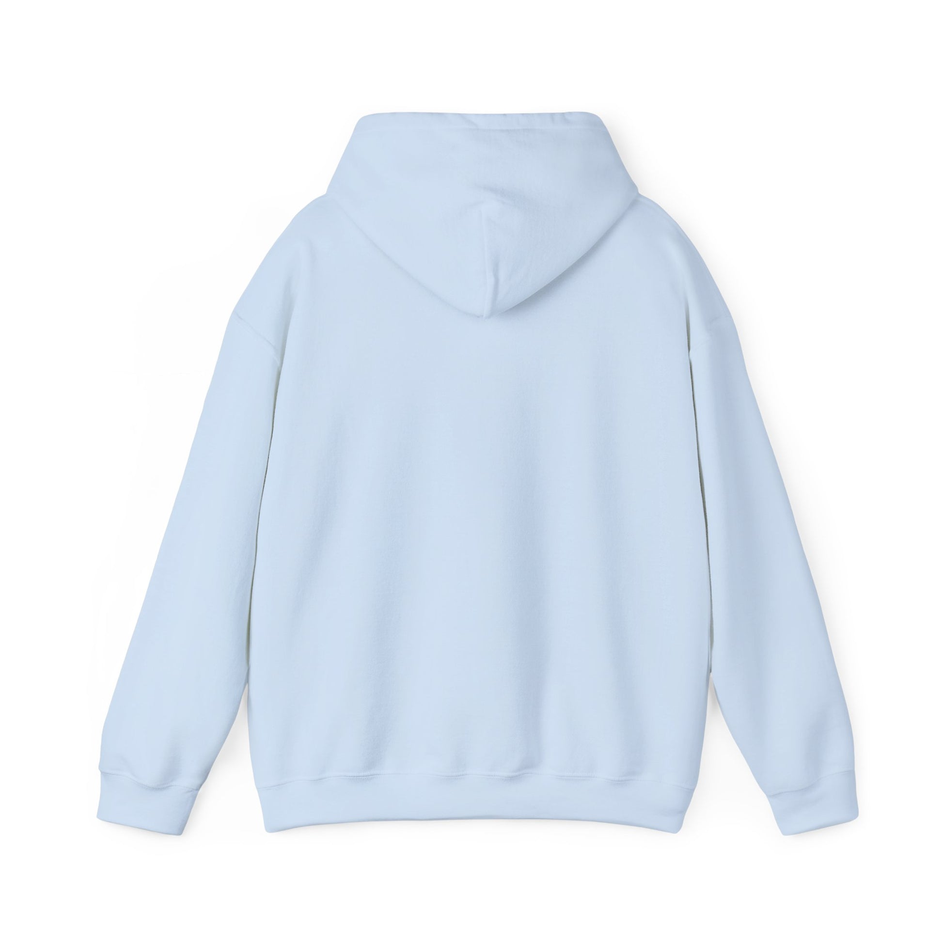 "Live By the Kingdom Not the World Colossians 3:2" Unisex Heavy Blend™ Hoodies - The Shield of Light