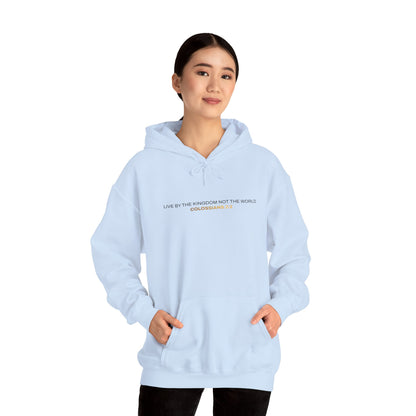 "Live By the Kingdom Not the World Colossians 3:2" Unisex Heavy Blend™ Hoodies - The Shield of Light