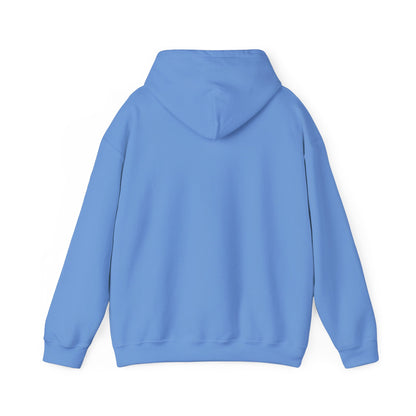 "Live By the Kingdom Not the World Colossians 3:2" Unisex Heavy Blend™ Hoodies - The Shield of Light